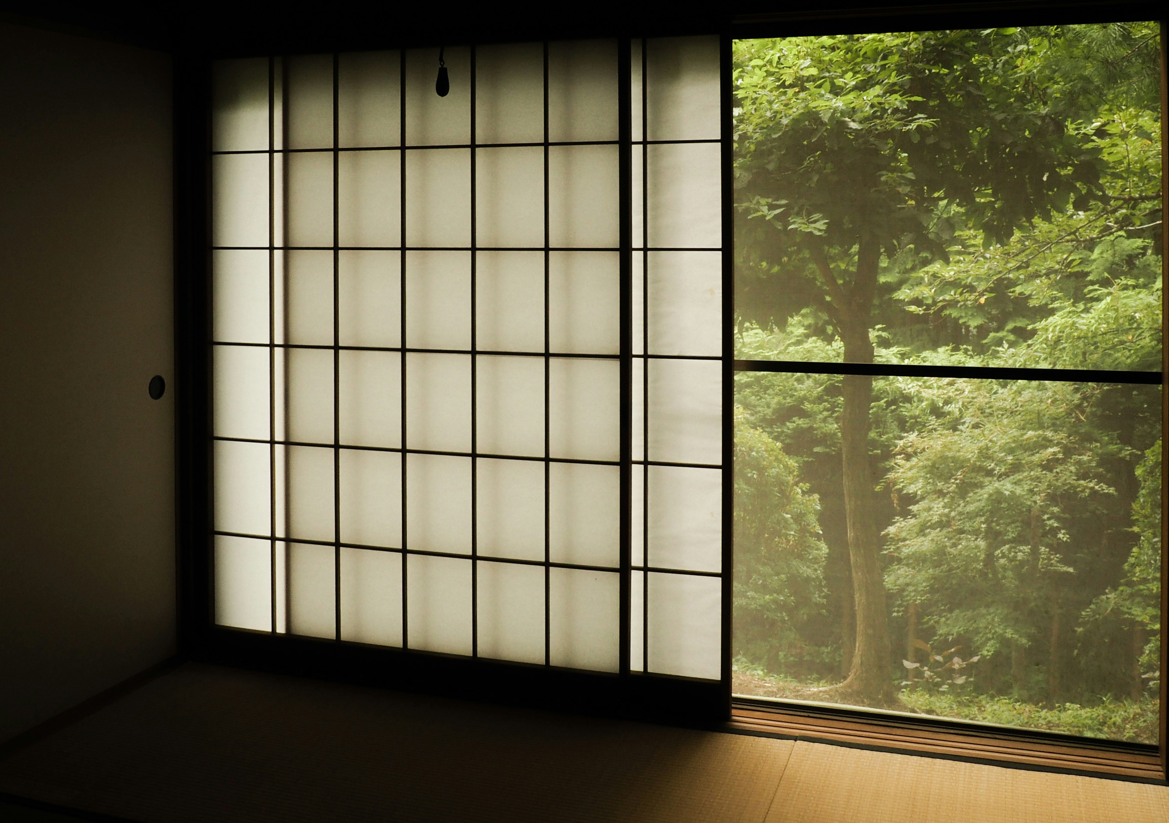 Photo by corralestech