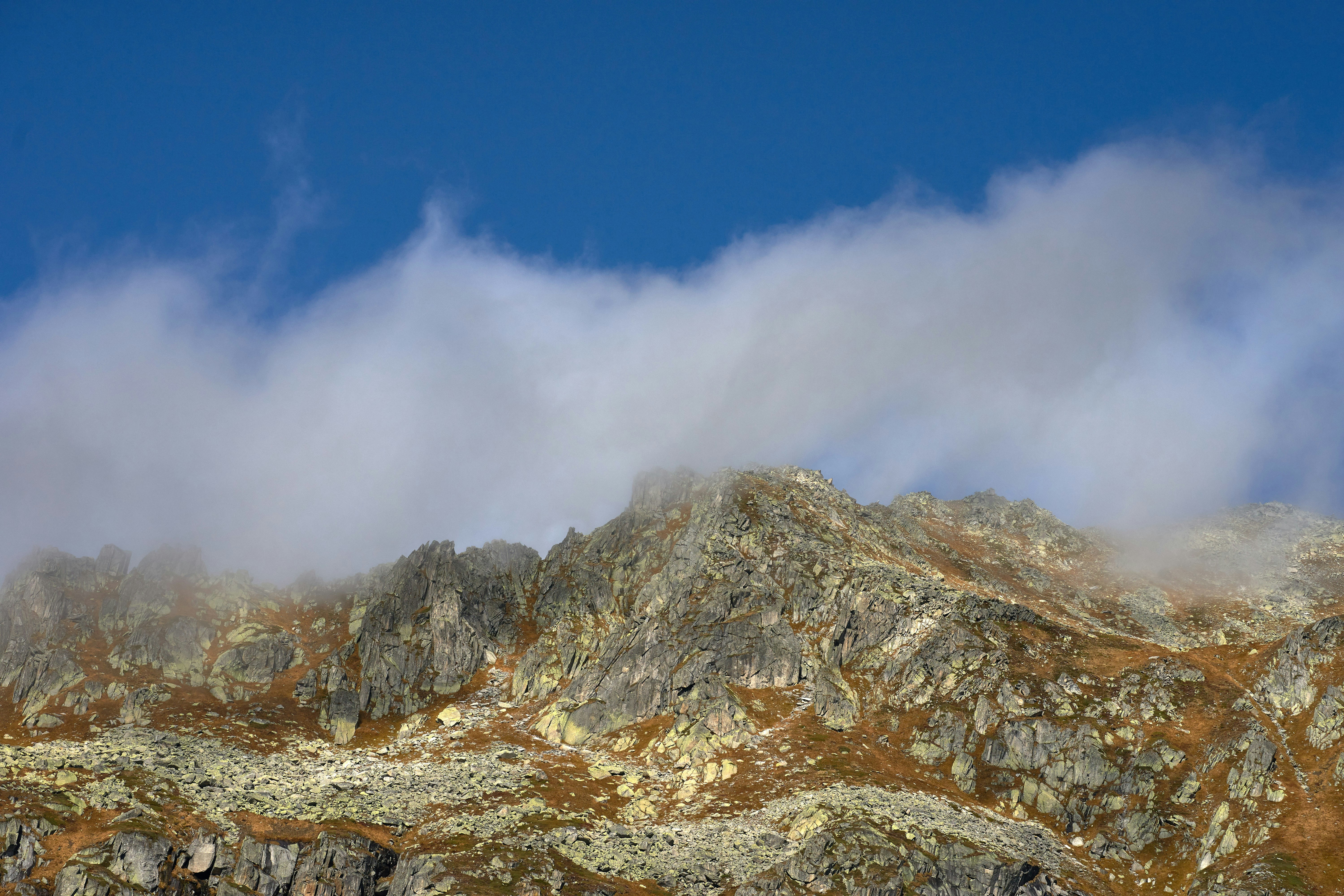 Photo by wolfgang_hasselmann