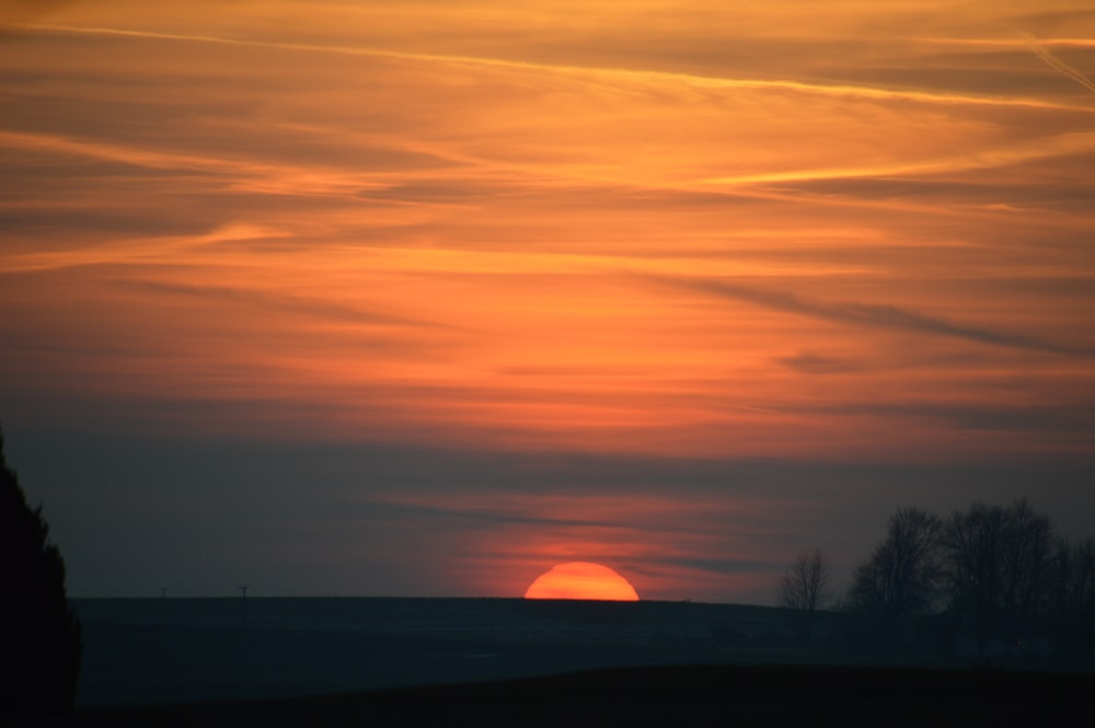 silhouette di alberi durante il tramonto