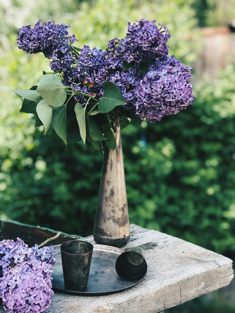purple flowers in brown ceramic vase