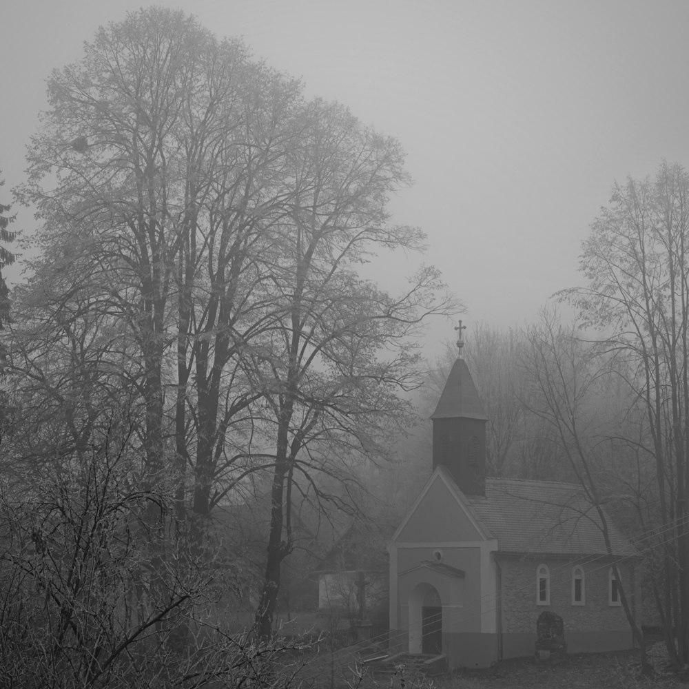 white and black church surrounded by bare trees