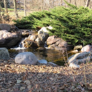 A peaceful water feature nestled among rocks and local plants in a rural setting.