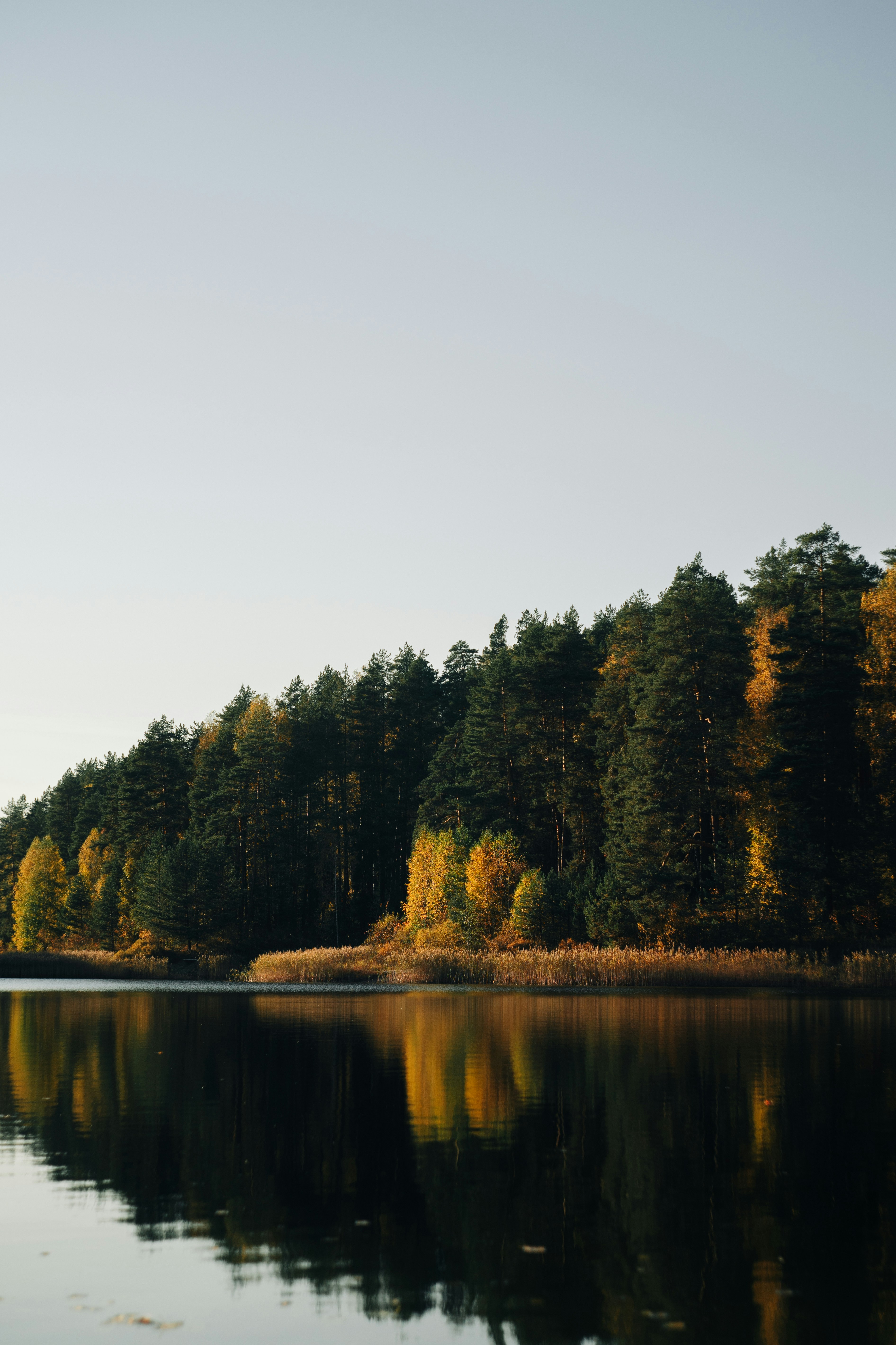 Photo by robert_lens