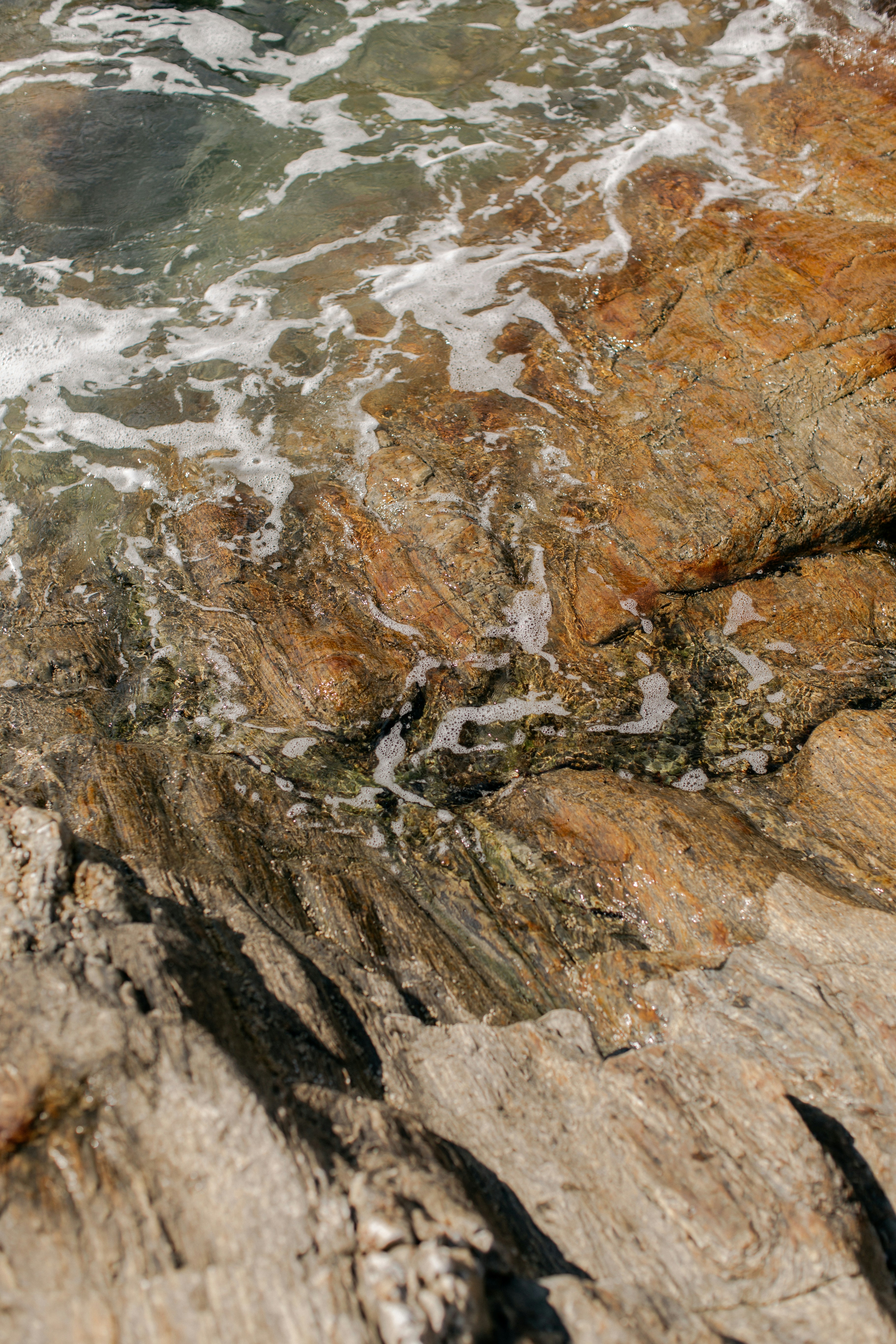 Photo by chelseanscott