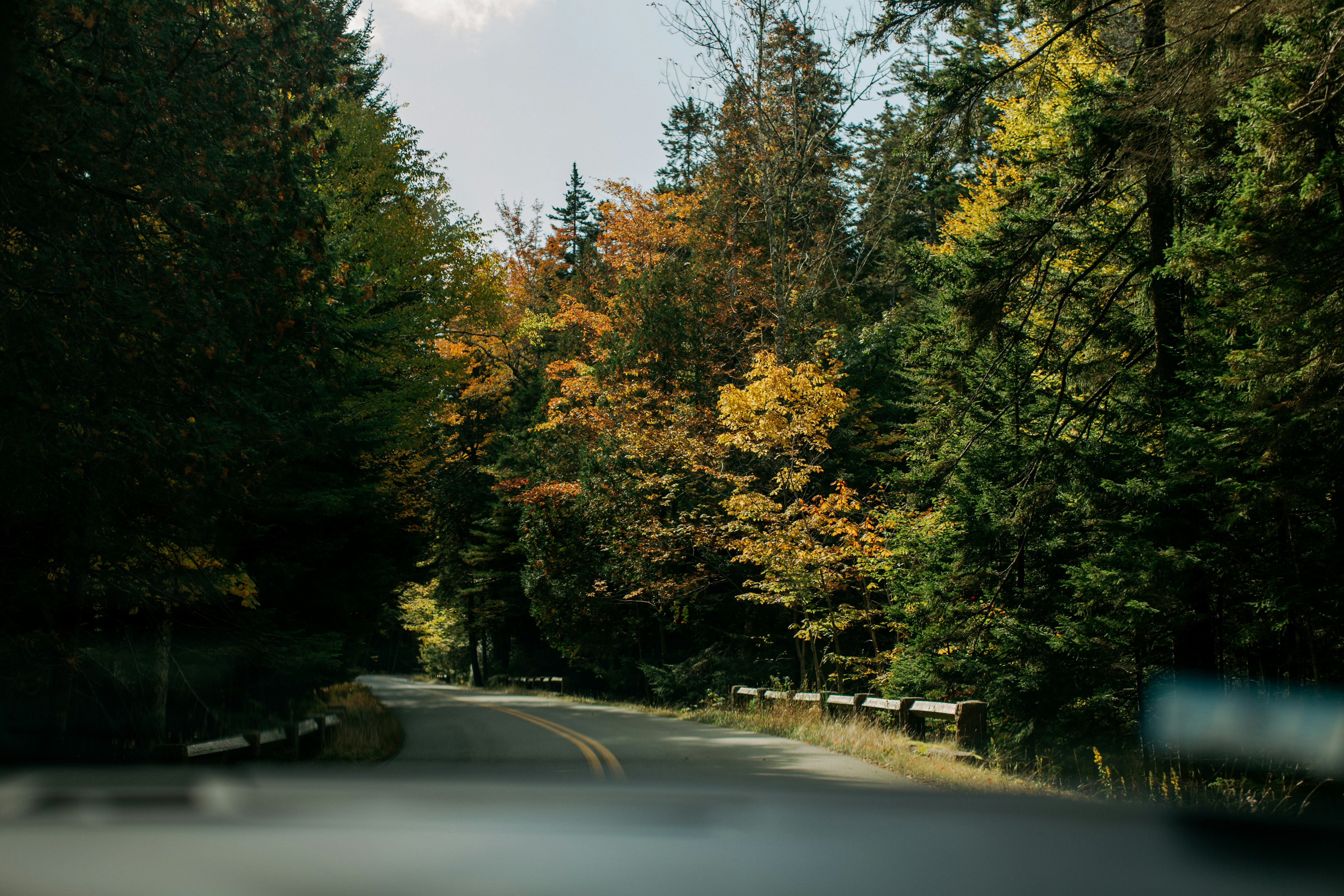 Photo by chelseanscott