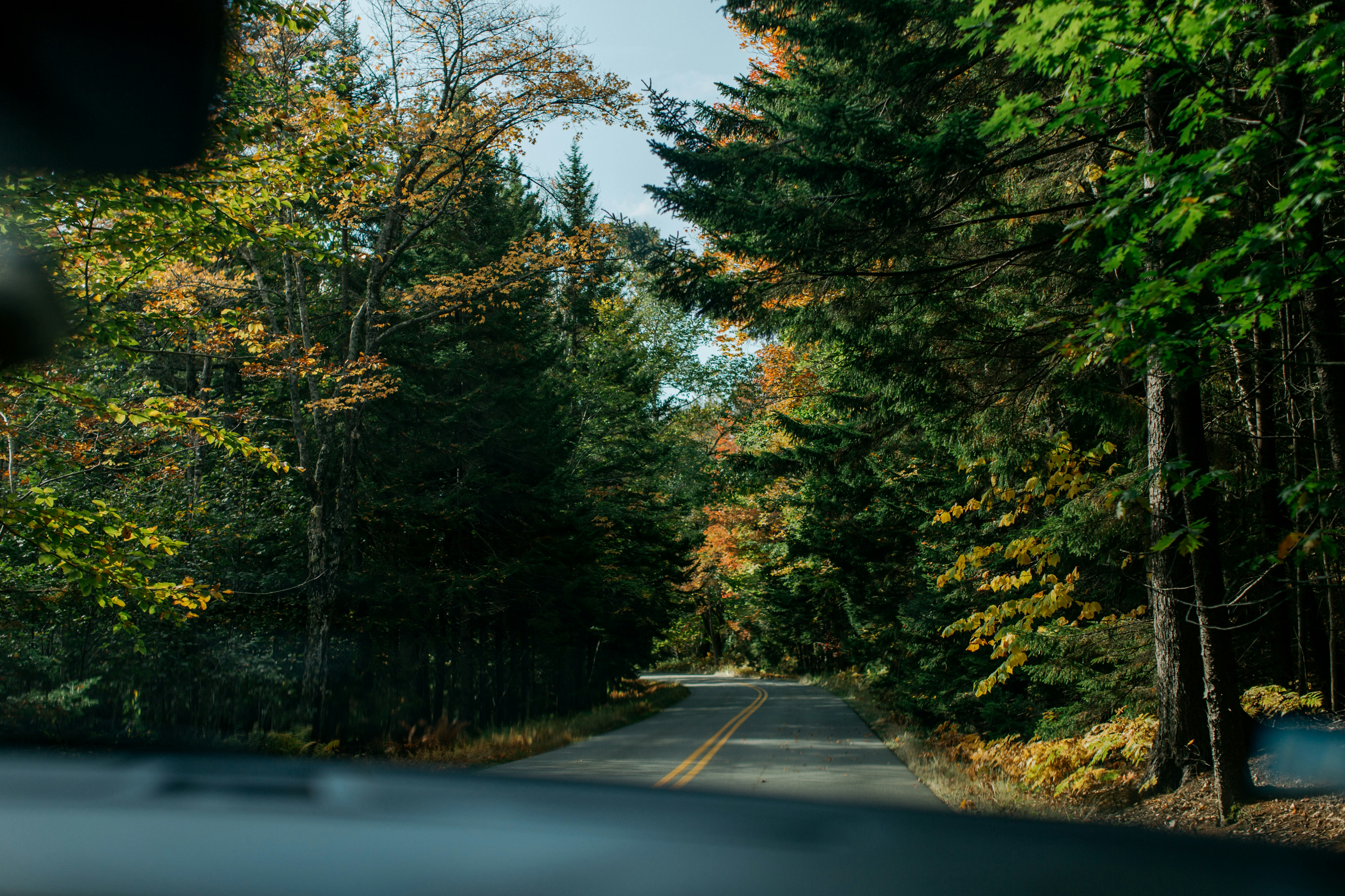 Photo by chelseanscott