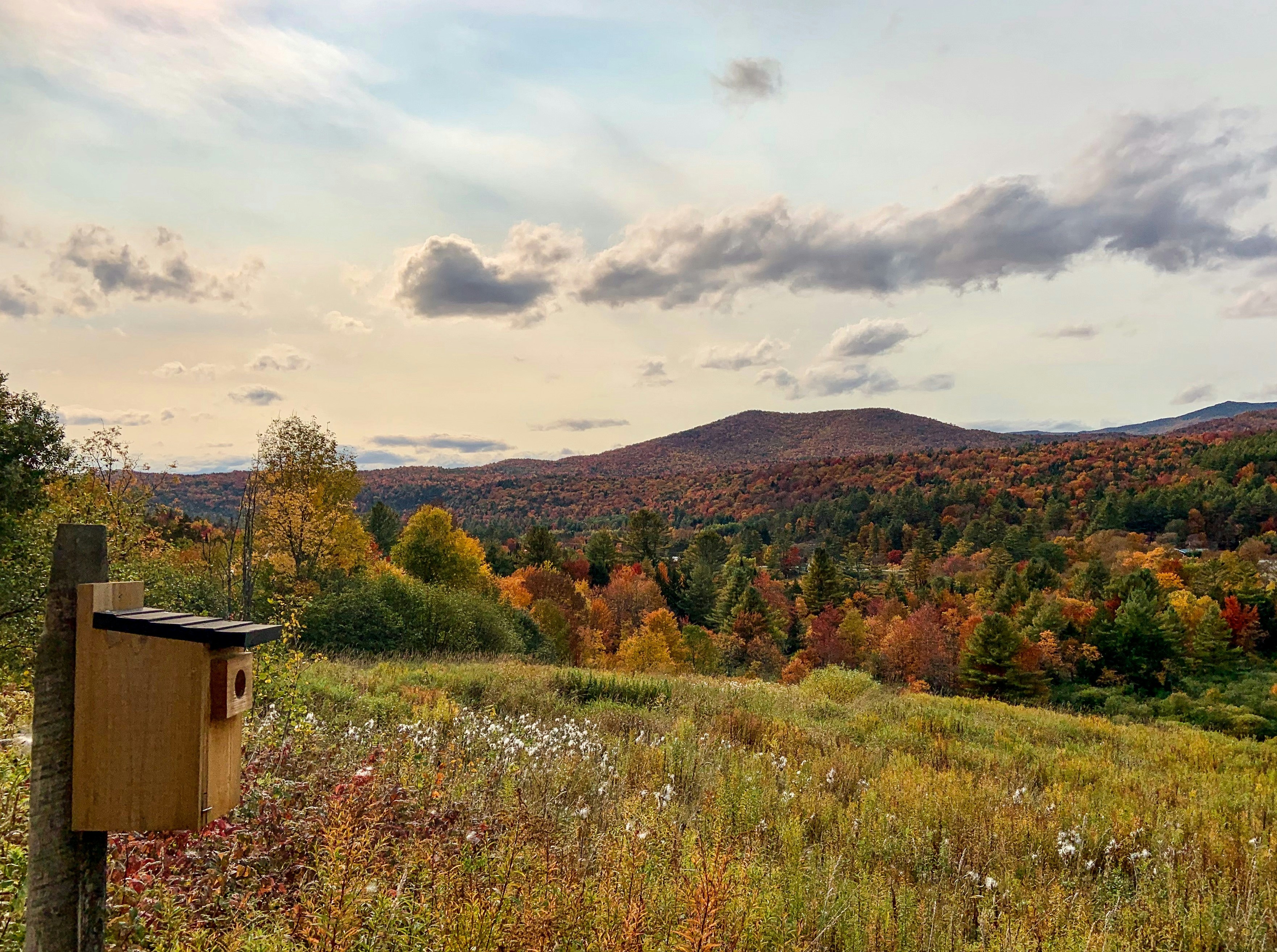 Trivia nights in Worcester, United Kingdom
