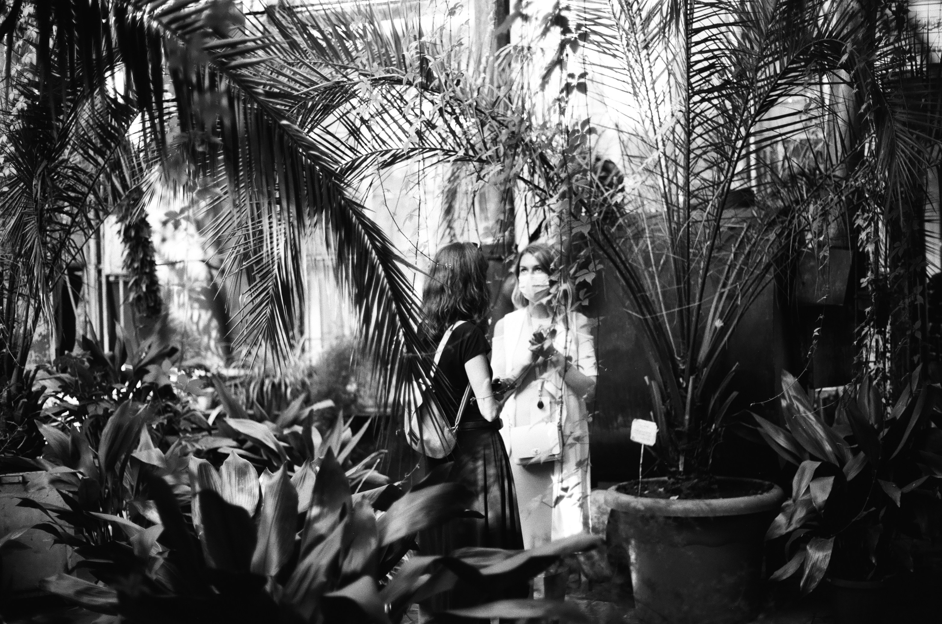 Photo by olenkasergienko