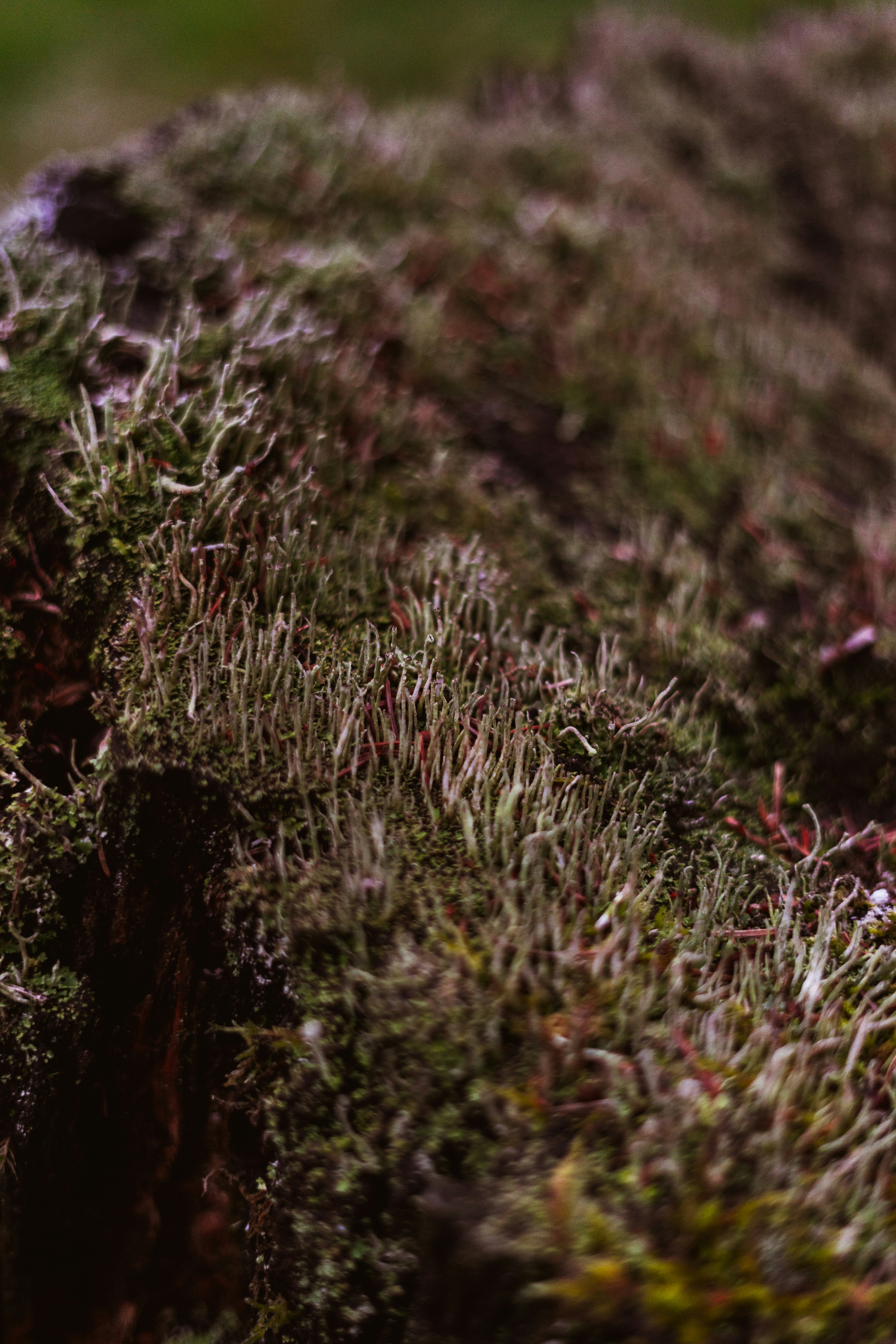 Photo by virussinside
