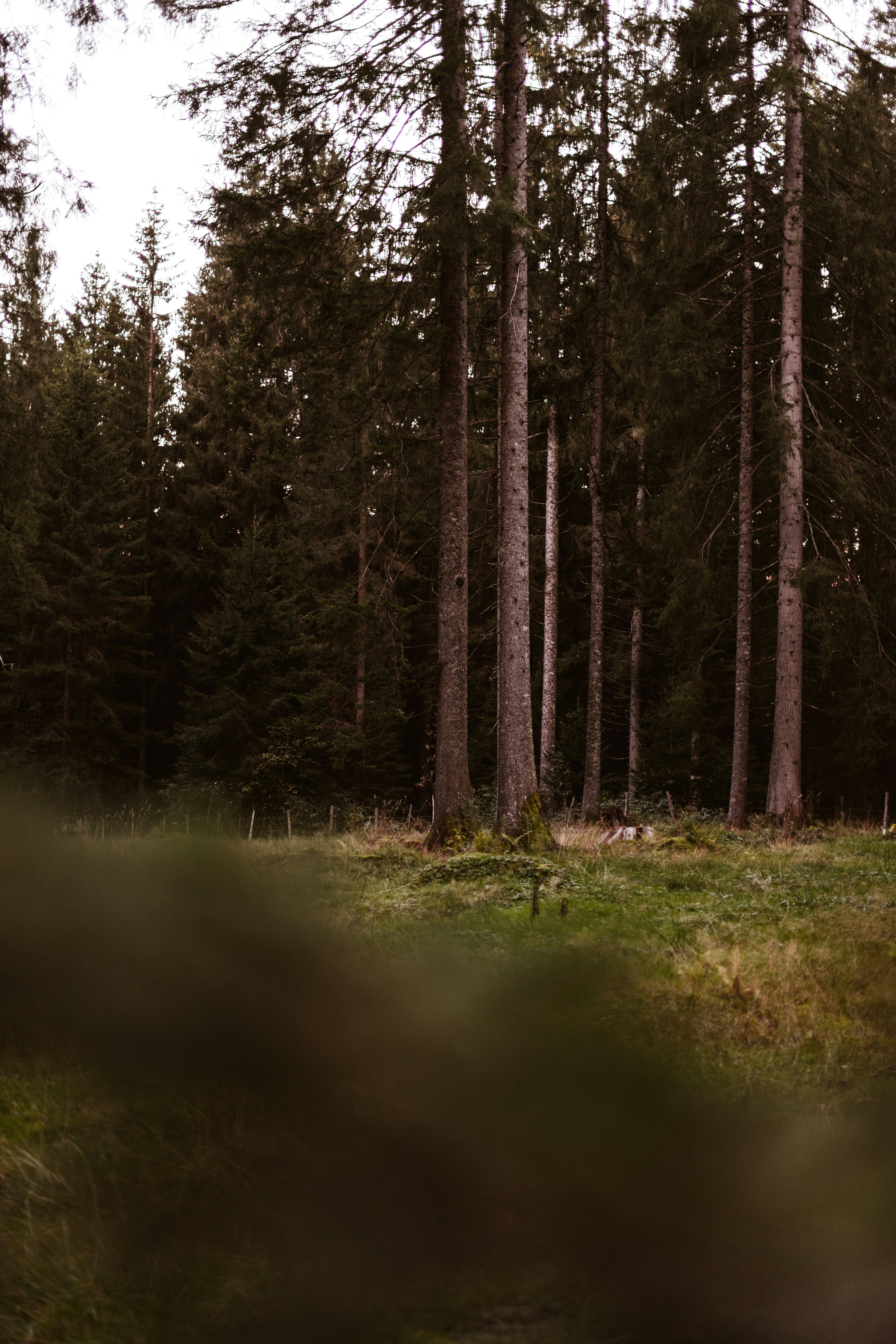 Photo by virussinside