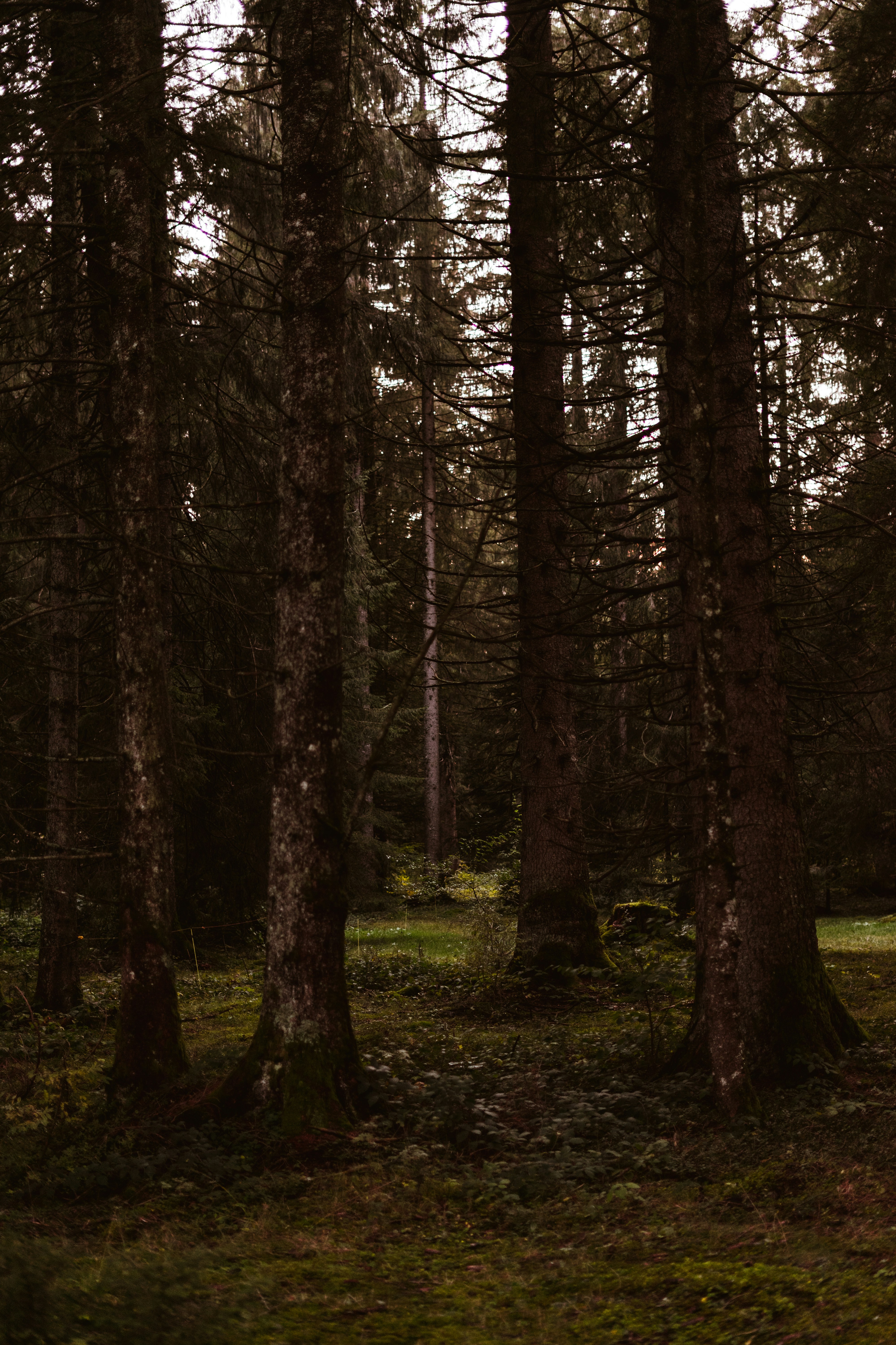 Photo by virussinside