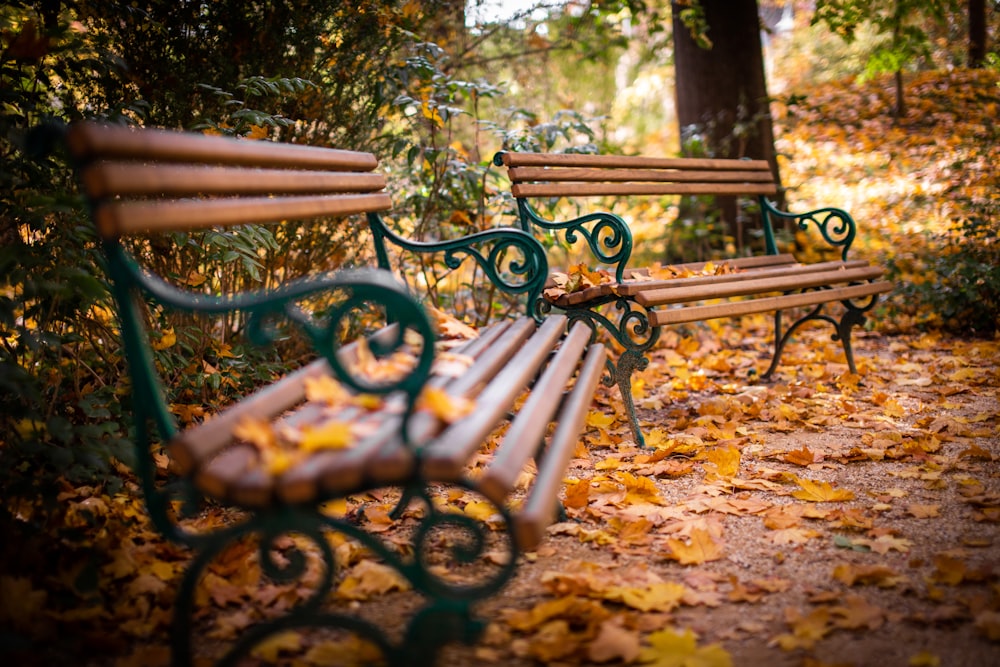 black metal bench on brown leaves