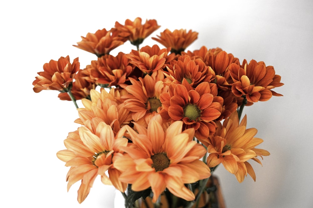 orange flowers in white ceramic vase