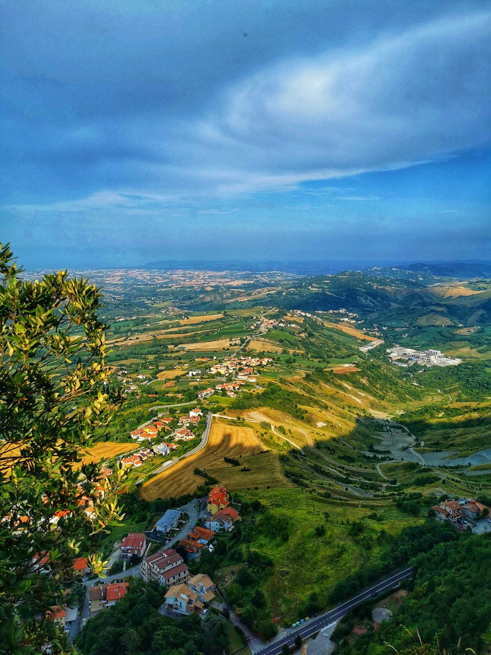 árboles verdes y campo de hierba verde bajo el cielo azul durante el día