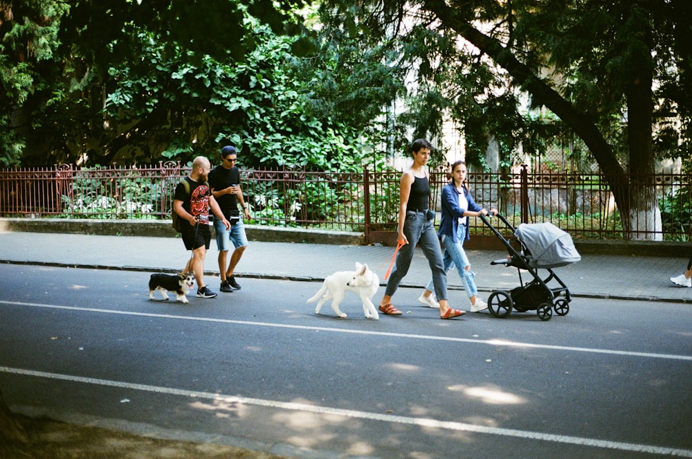 people walking on sidewalk with white dog during daytime