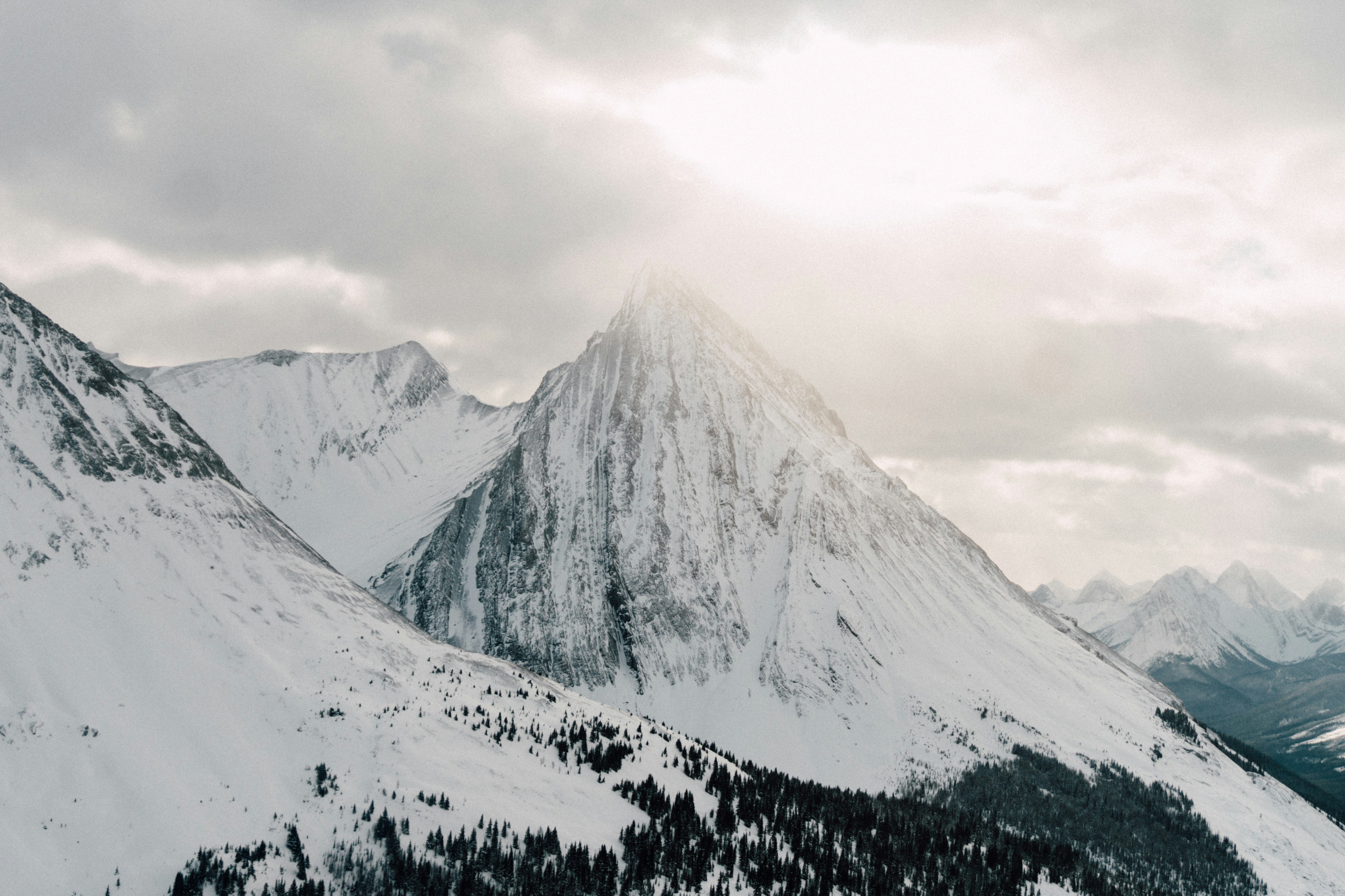 Photo by milesloewen