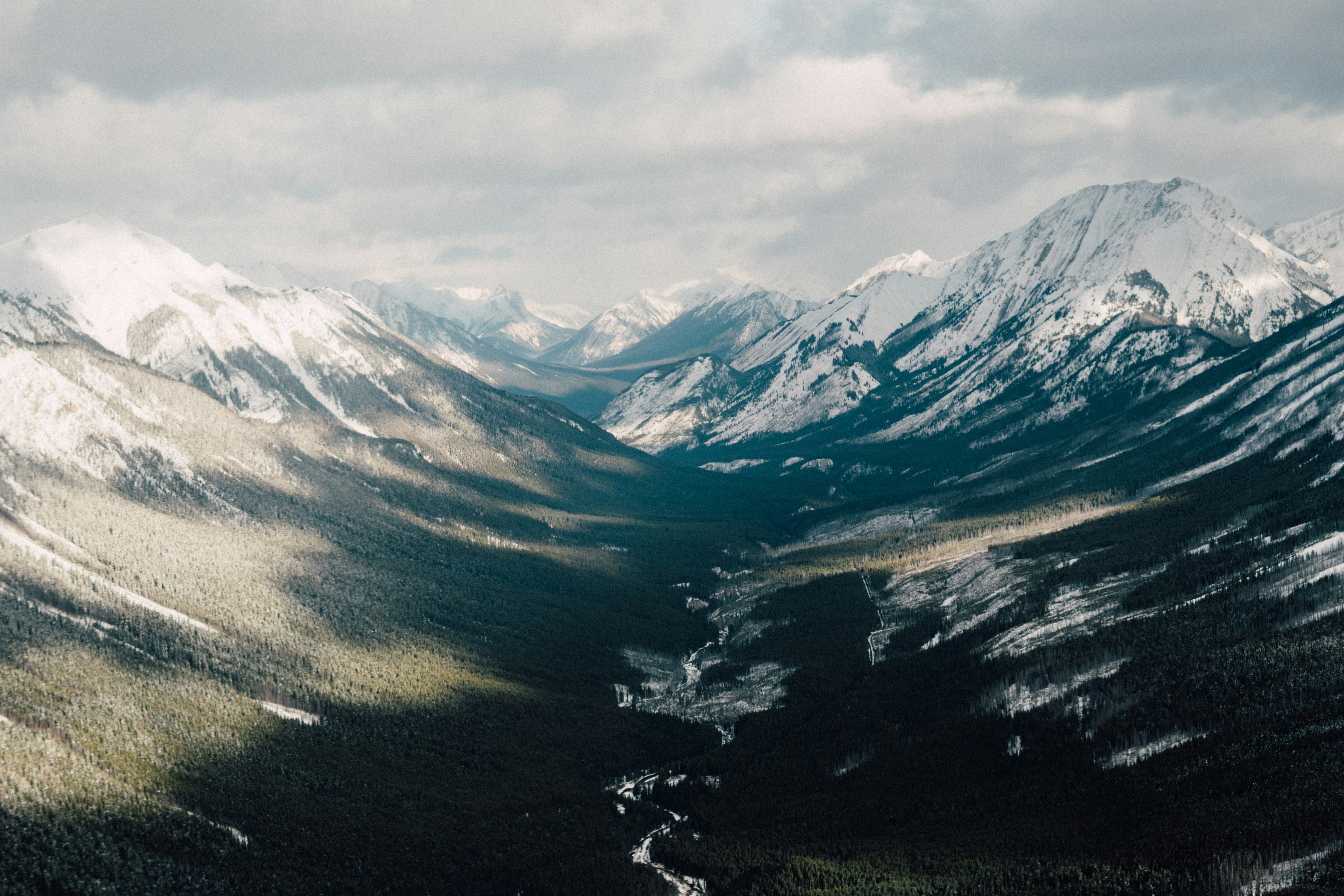 Photo by milesloewen