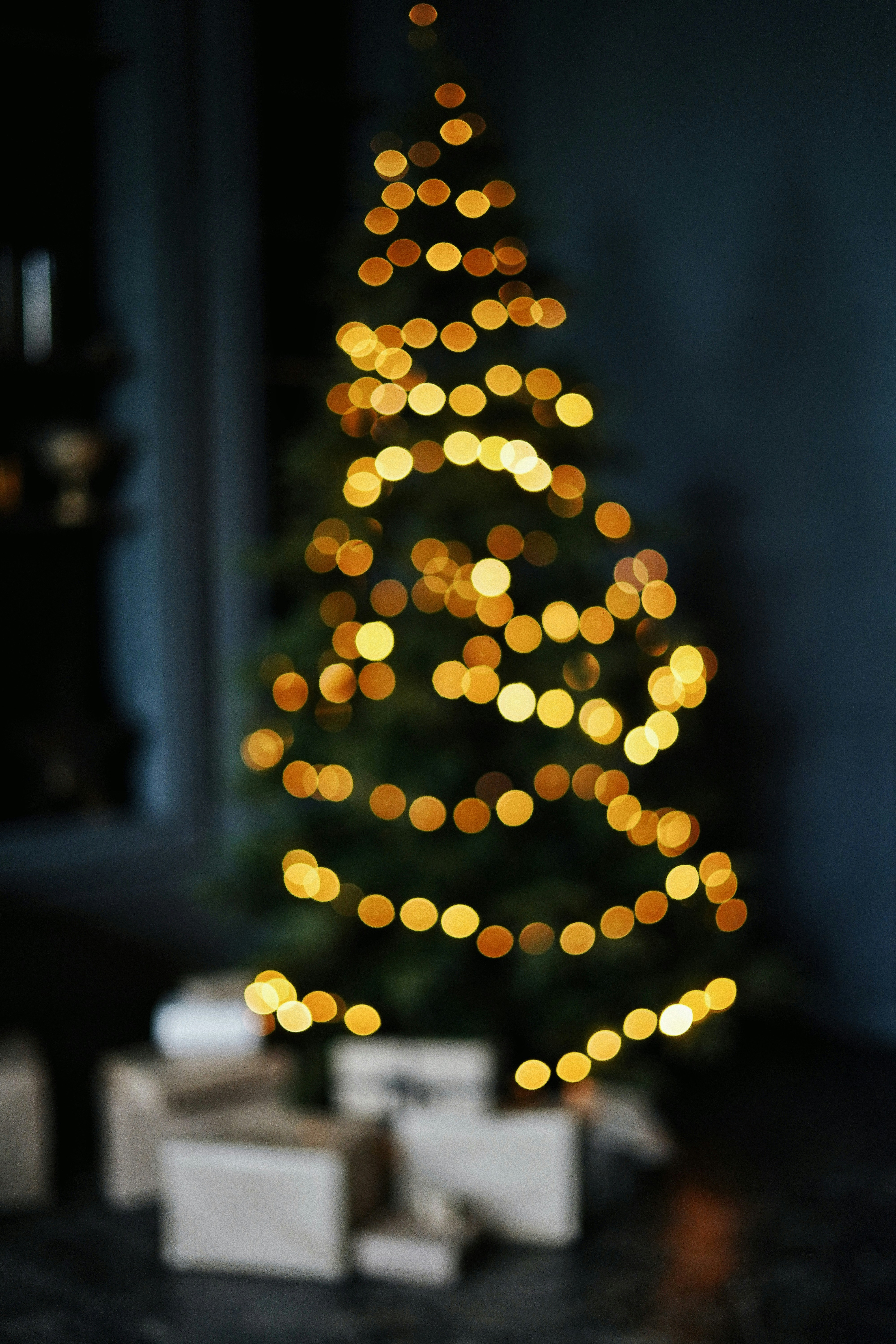 Choose from a curated selection of Christmas tree photos. Always free on Unsplash.