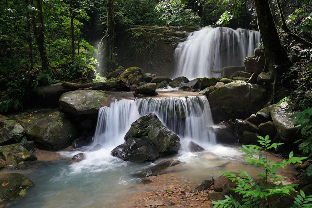 waterfalls in the middle of forest during daytime