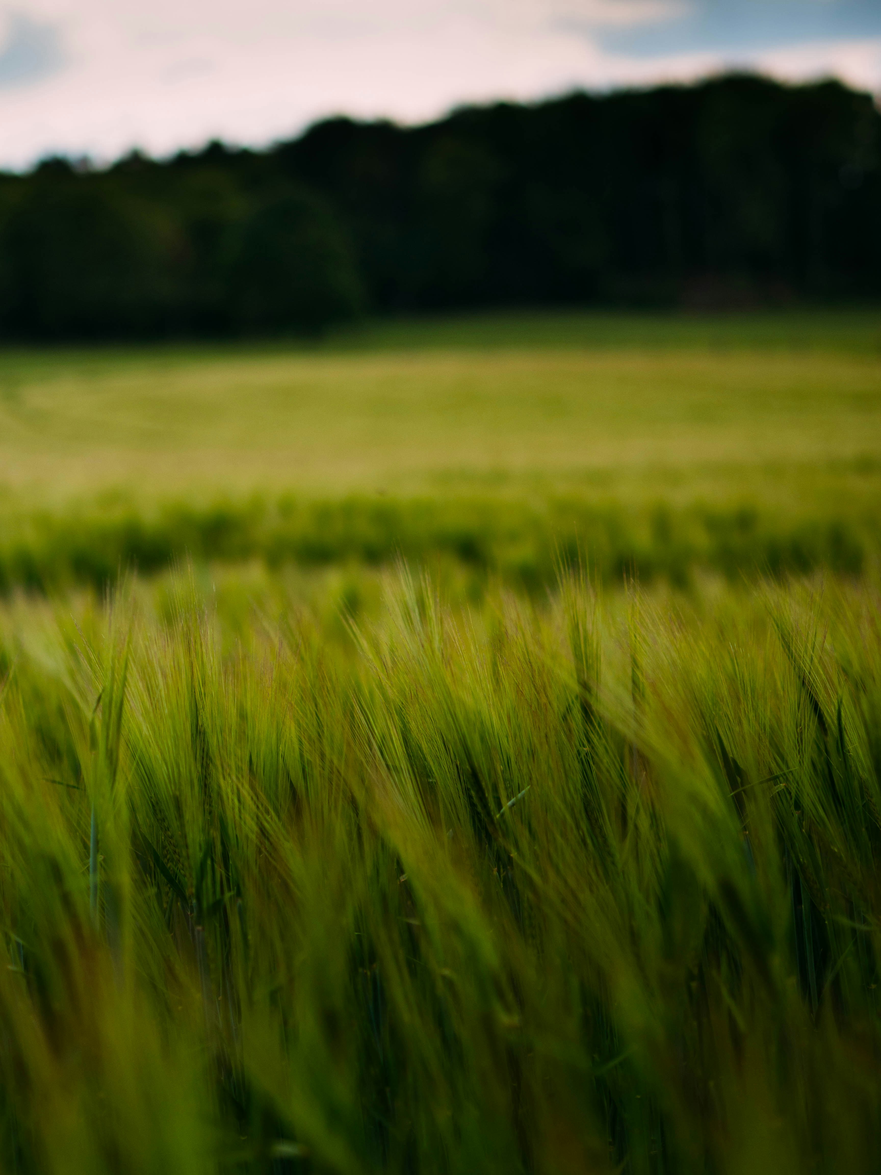 Photo by brechtdenil