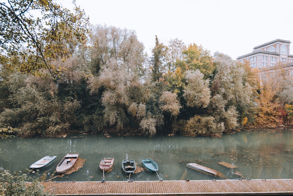 brown wooden dock on river during daytime