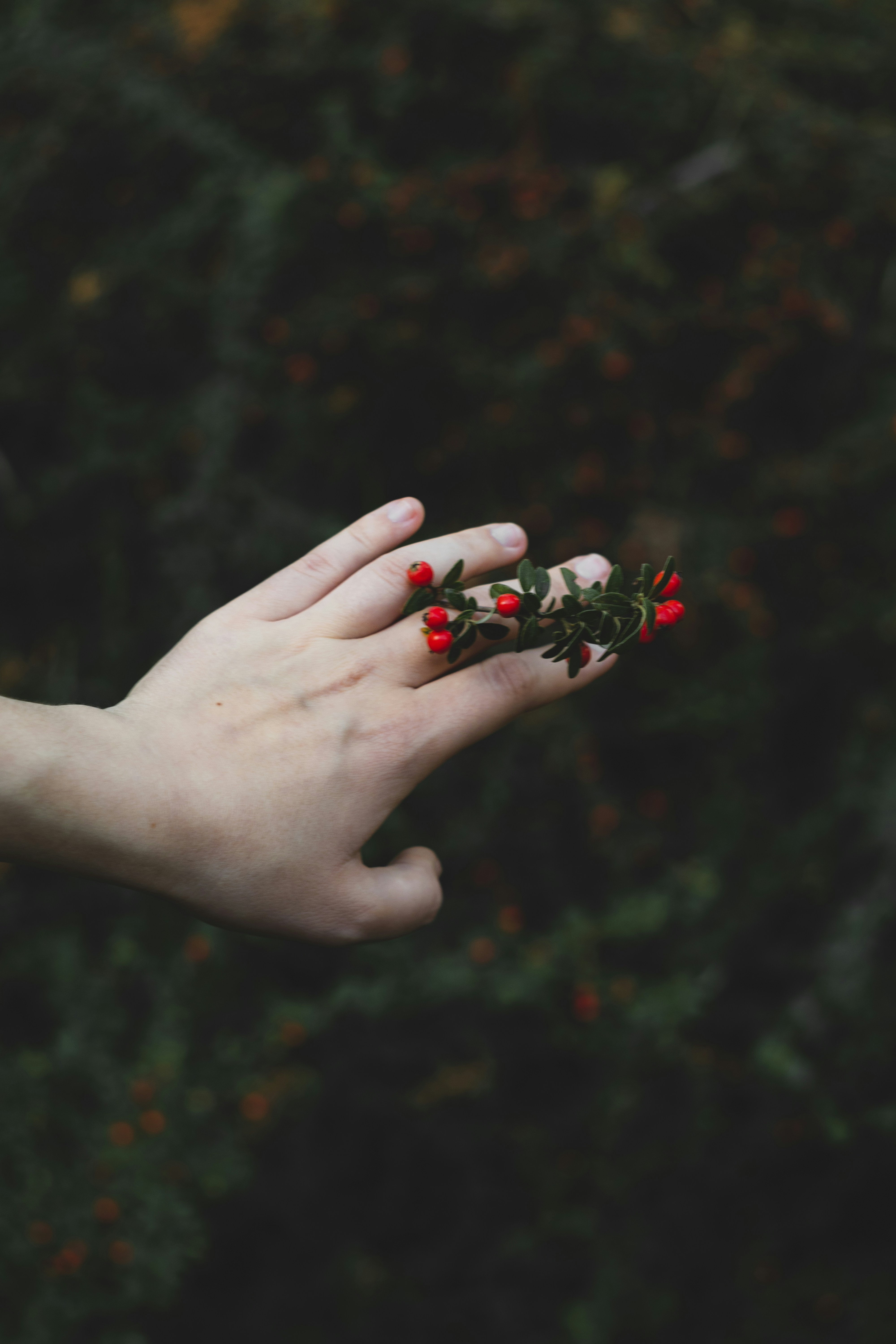 Photo by walkthecreator