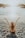 woman in black bikini bottom on beach during daytime