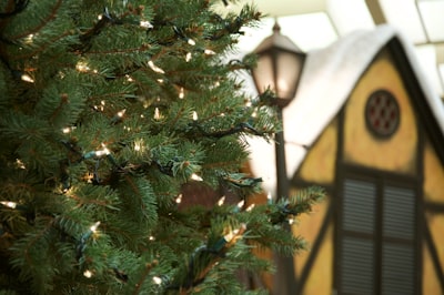 green christmas tree with string lights ornament teams background