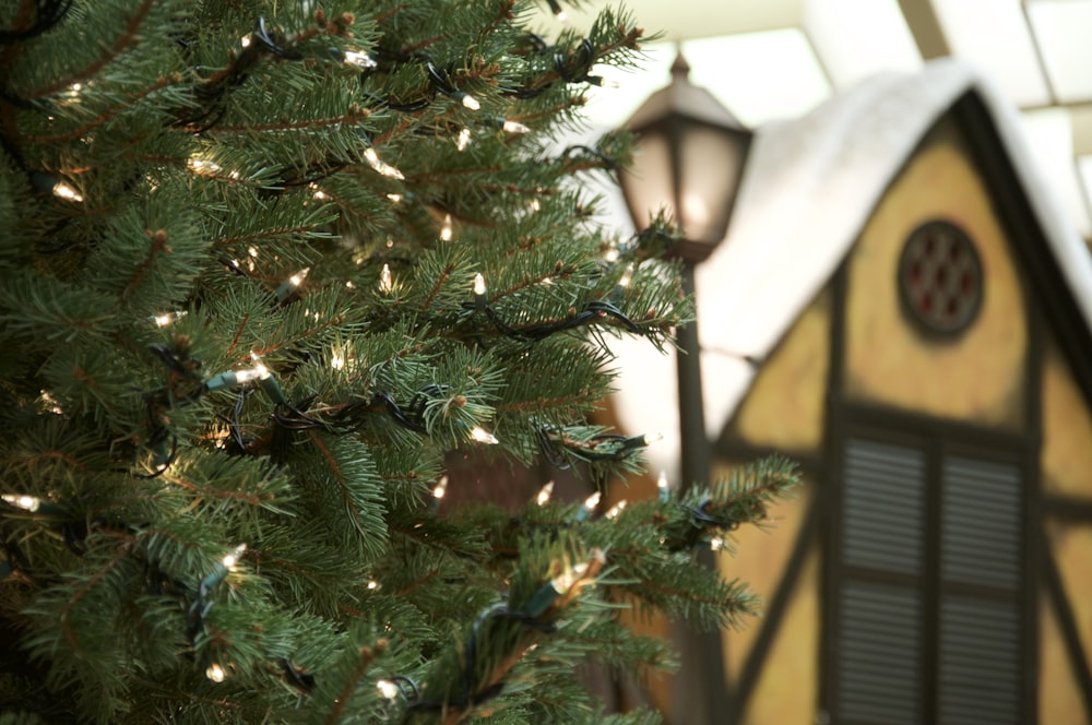 green christmas tree with string lights