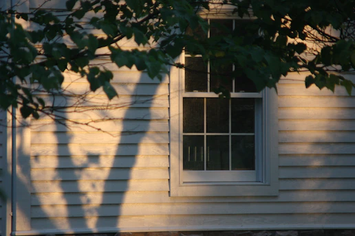 Sunlight filtering through leafy branches onto a cozy home exterior.