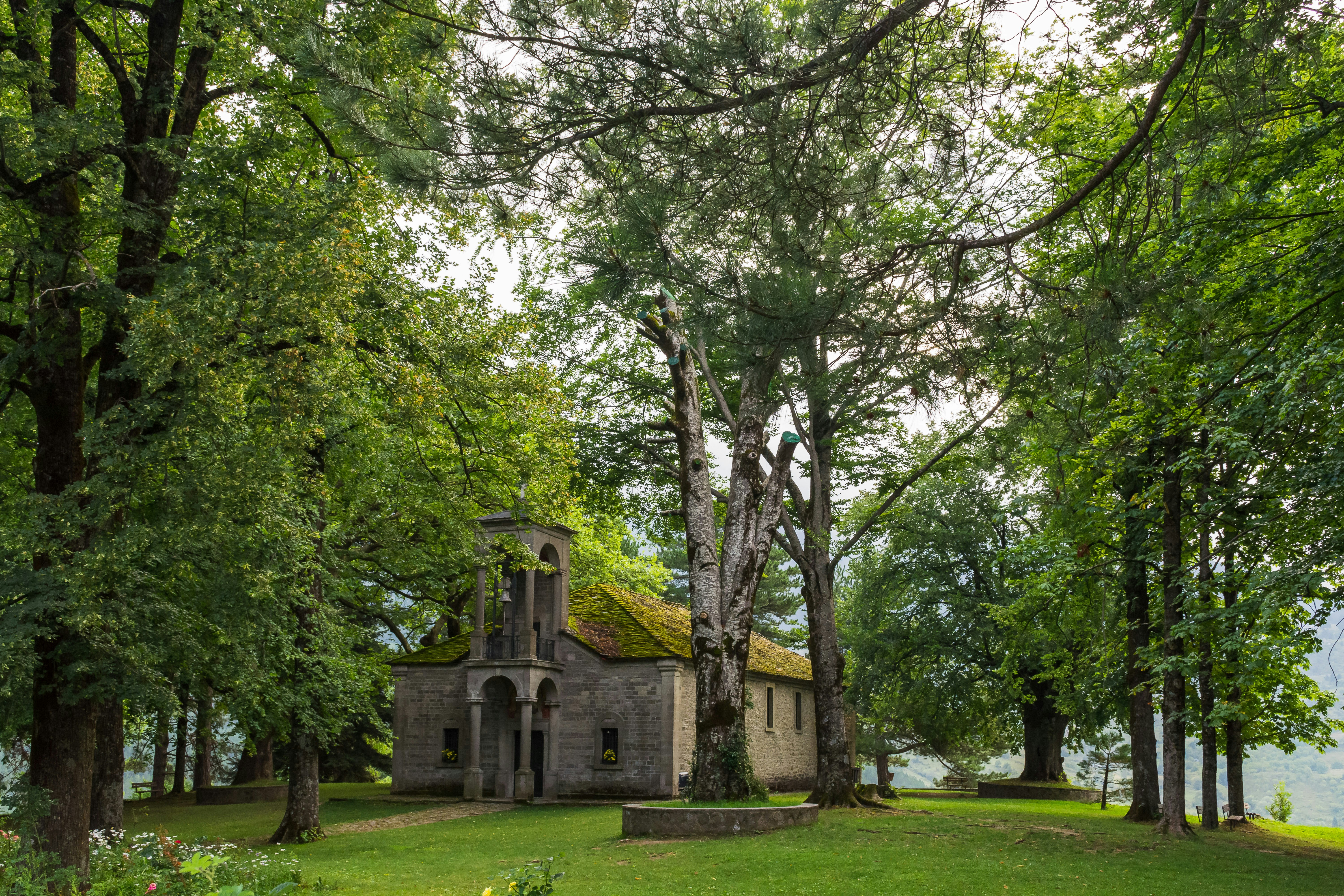 green trees near white concrete building during daytime