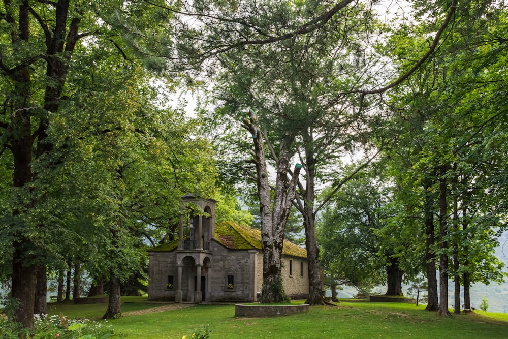 alberi verdi vicino all'edificio di cemento bianco durante il giorno