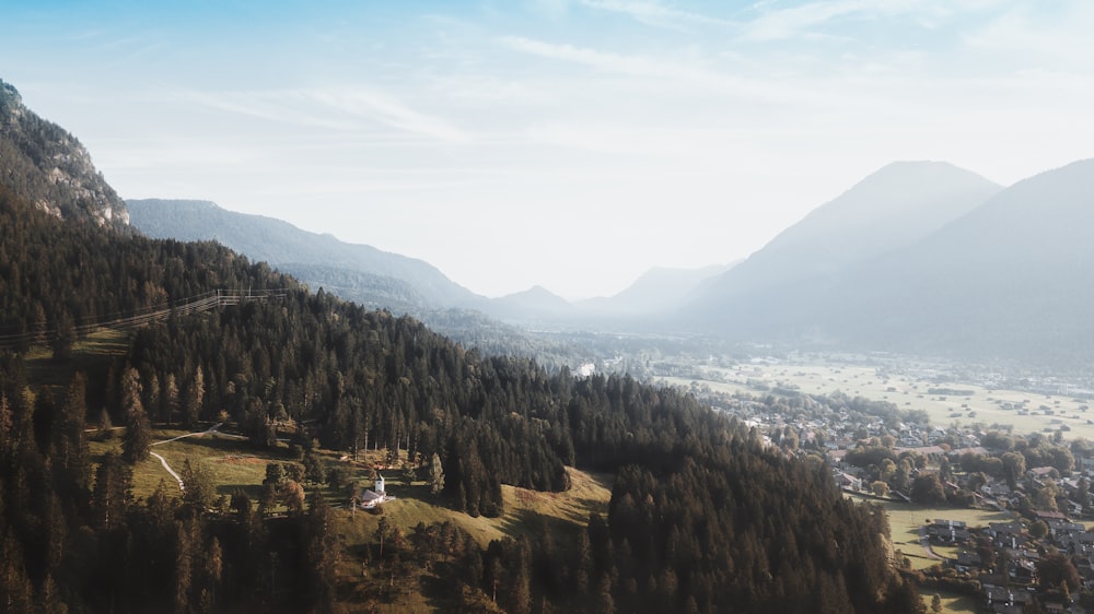 green trees on mountain during daytime