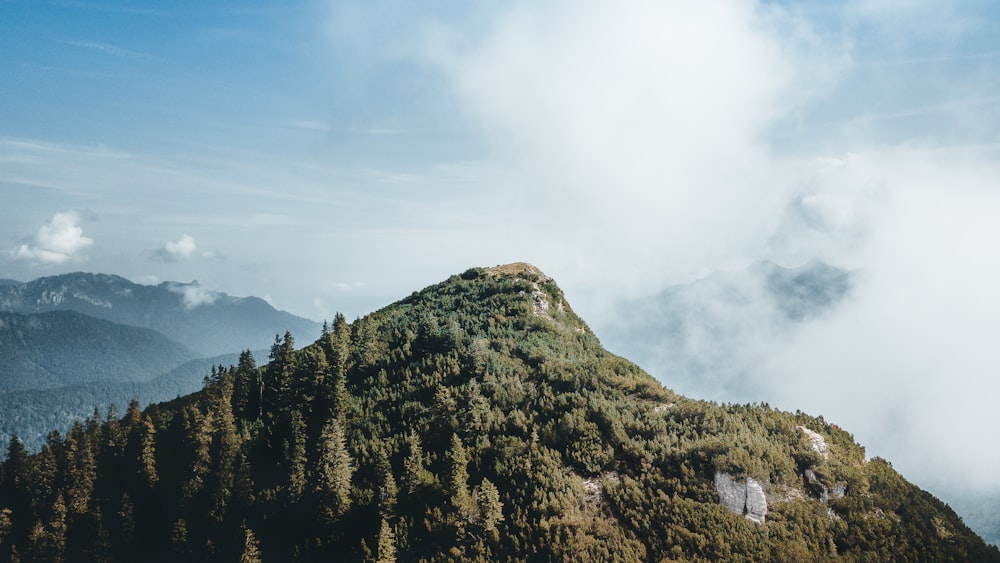 green trees on mountain under white clouds during daytime