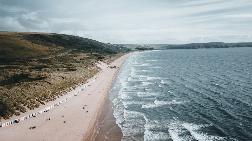 people on beach during daytime