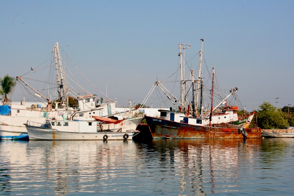 Barco blanco y marrón en el cuerpo de agua durante el día