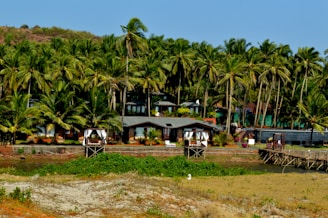 A picturesque landscape with a series of tropical wooden houses or cabins lined along the edge of a lush, dense grove of tall palm trees. The scene appears serene and inviting, with a clear blue sky above and a natural waterway in the foreground. A wooden walkway leads up to one of the structures, enhancing the idyllic, tranquil vibe of the area.