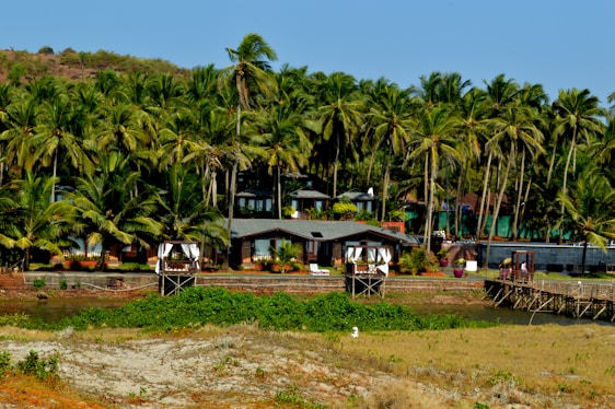 A picturesque landscape with a series of tropical wooden houses or cabins lined along the edge of a lush, dense grove of tall palm trees. The scene appears serene and inviting, with a clear blue sky above and a natural waterway in the foreground. A wooden walkway leads up to one of the structures, enhancing the idyllic, tranquil vibe of the area.