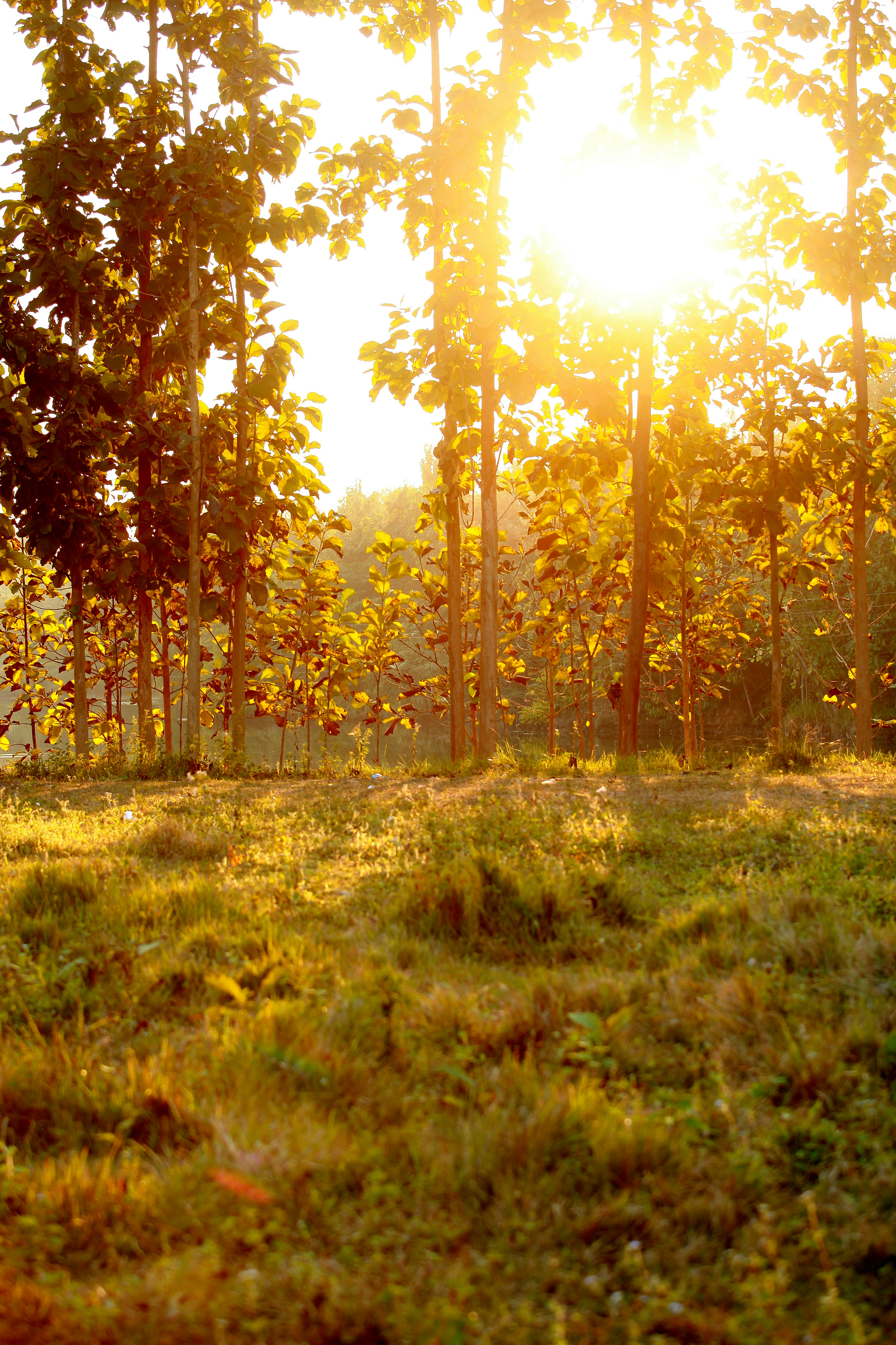 Photo by shirazhenry