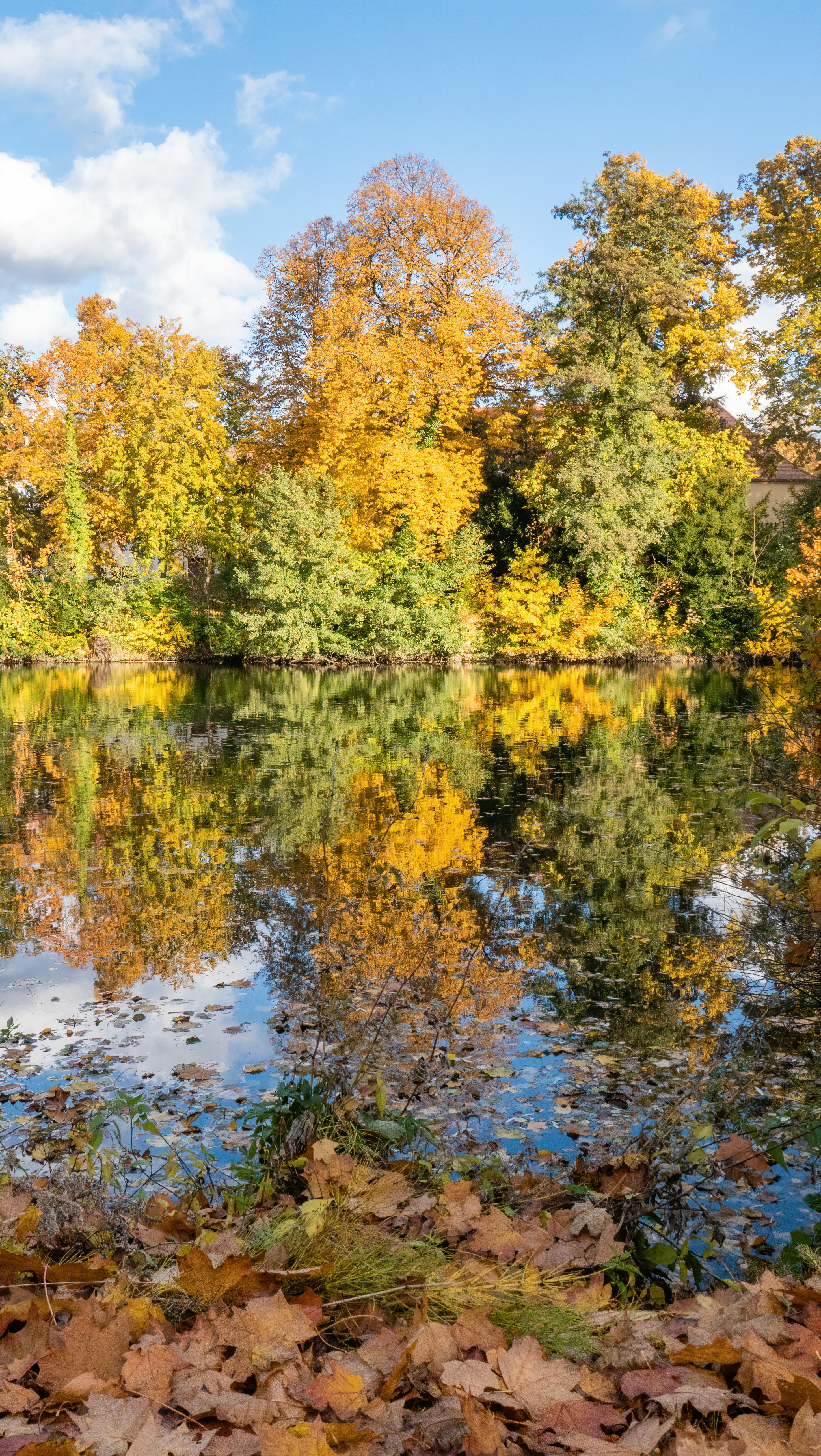 Photo by sangga_selia