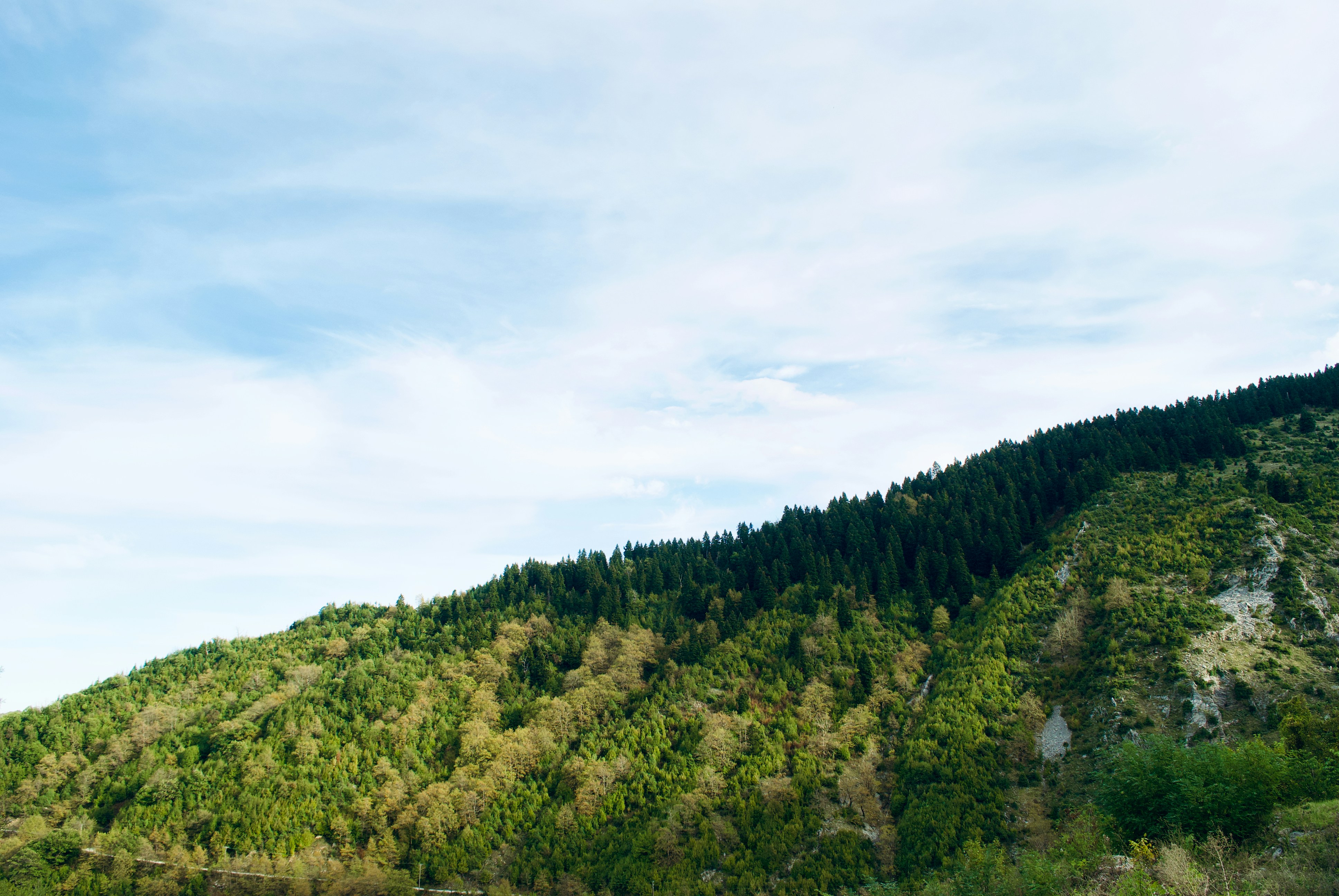 Photo by piernagorda_