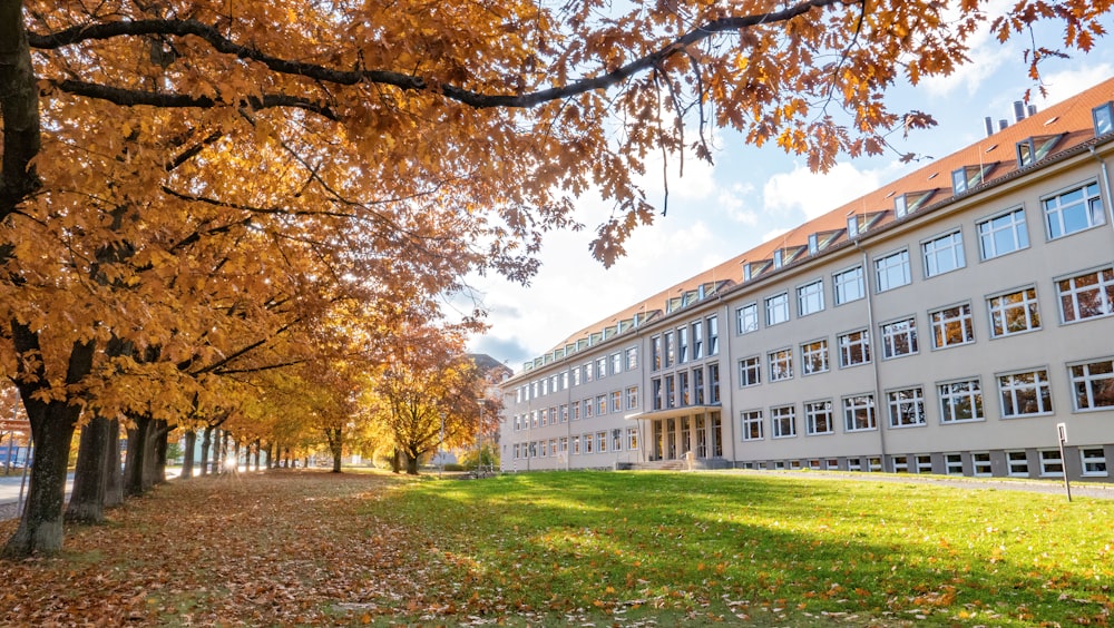 Weißes Betongebäude in der Nähe von Bäumen während des Tages