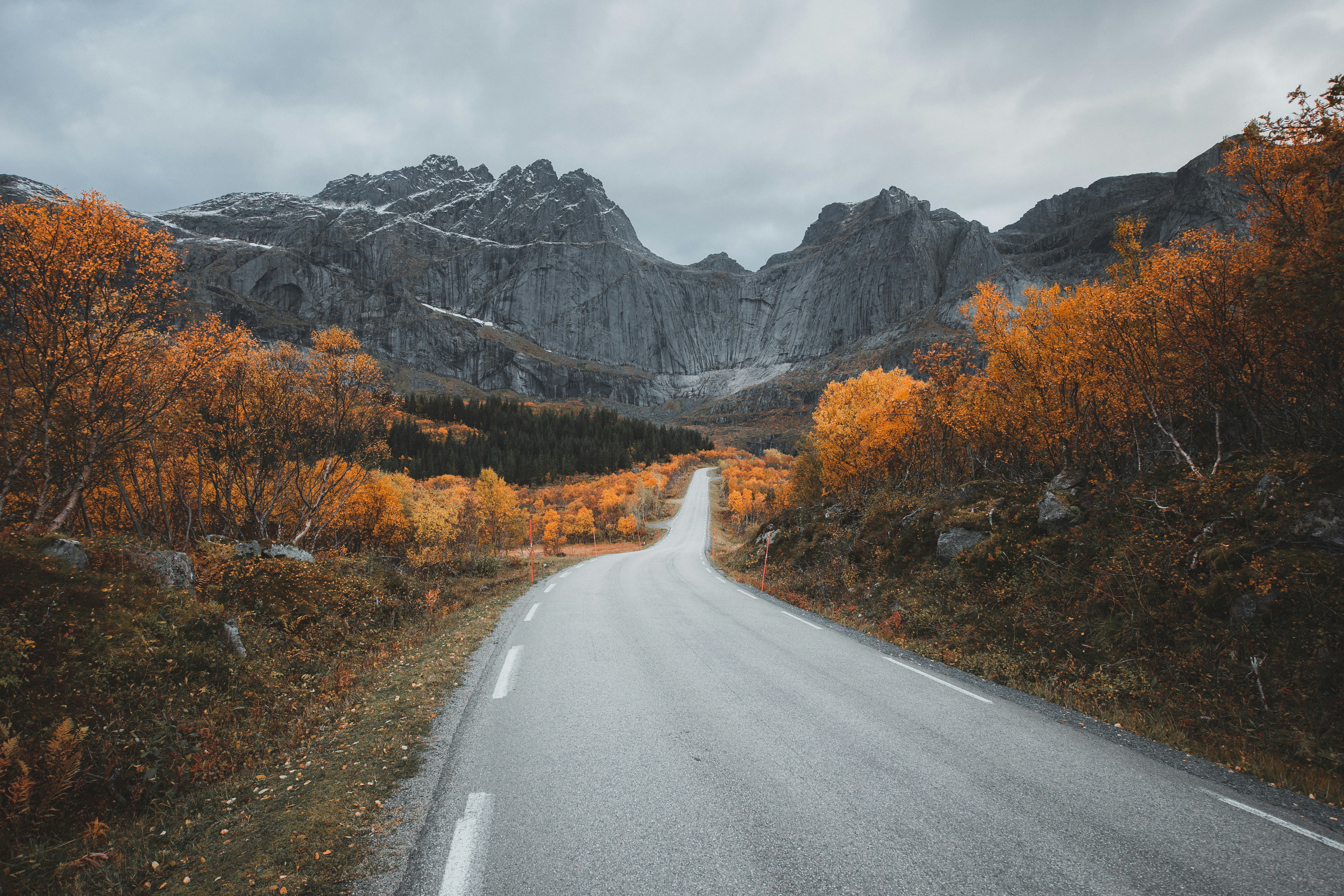 Route en béton gris entre les orangers et les arbres verts près de la montagne sous les nuages blancs pendant la journée