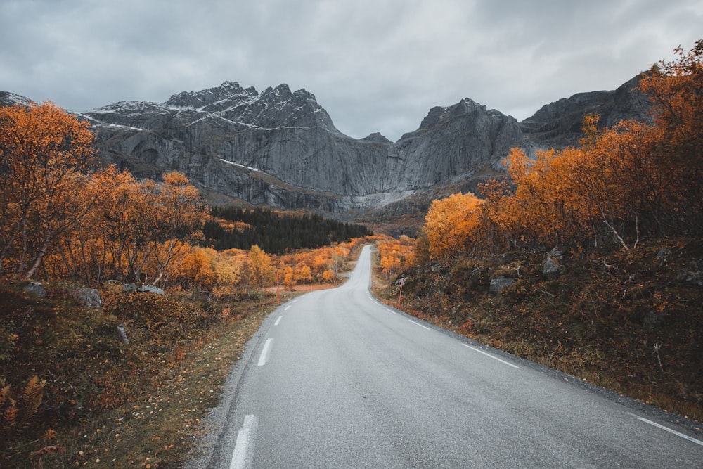 gray concrete road between orange and green trees near mountain under white clouds during daytime