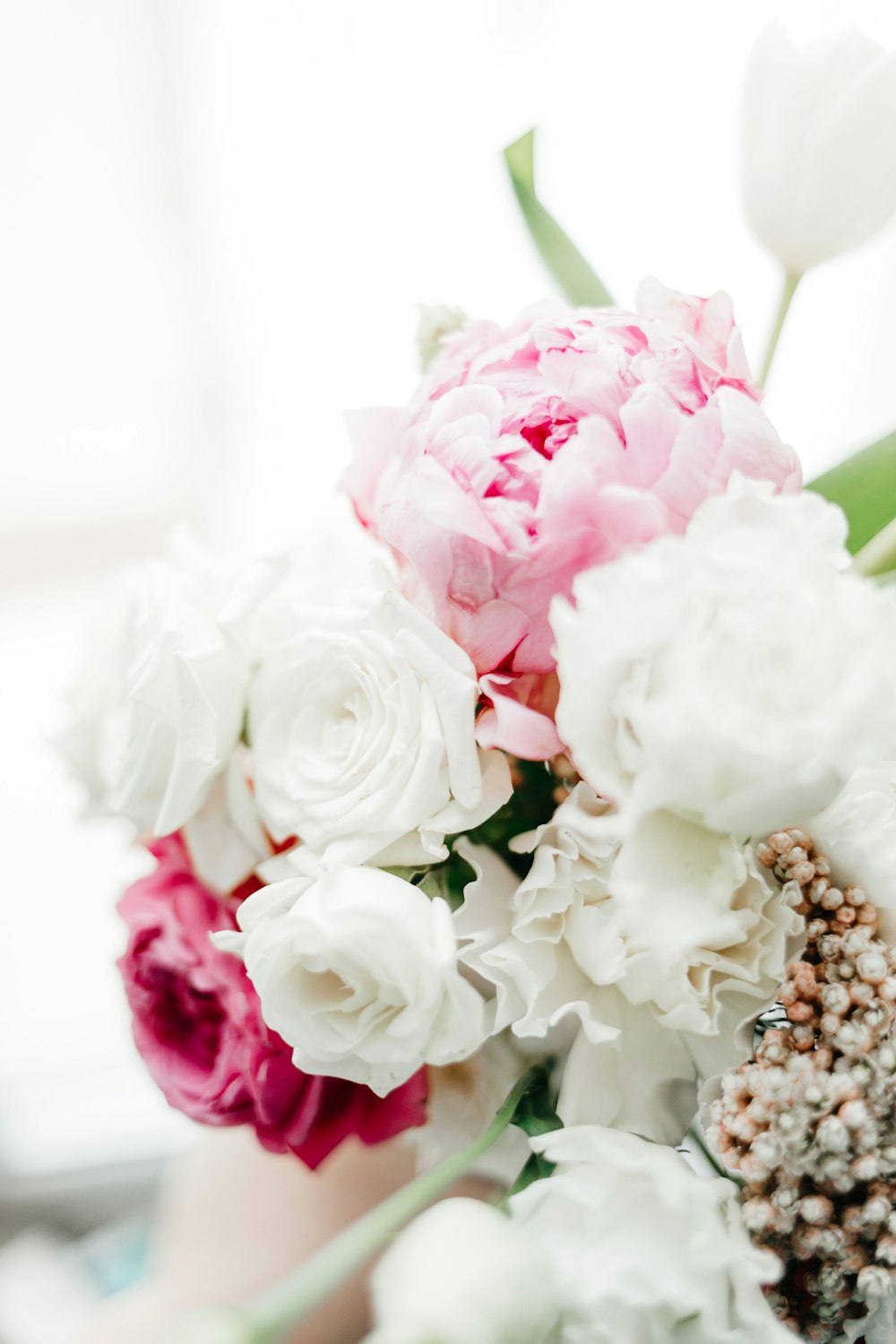pink and white roses in close up photography