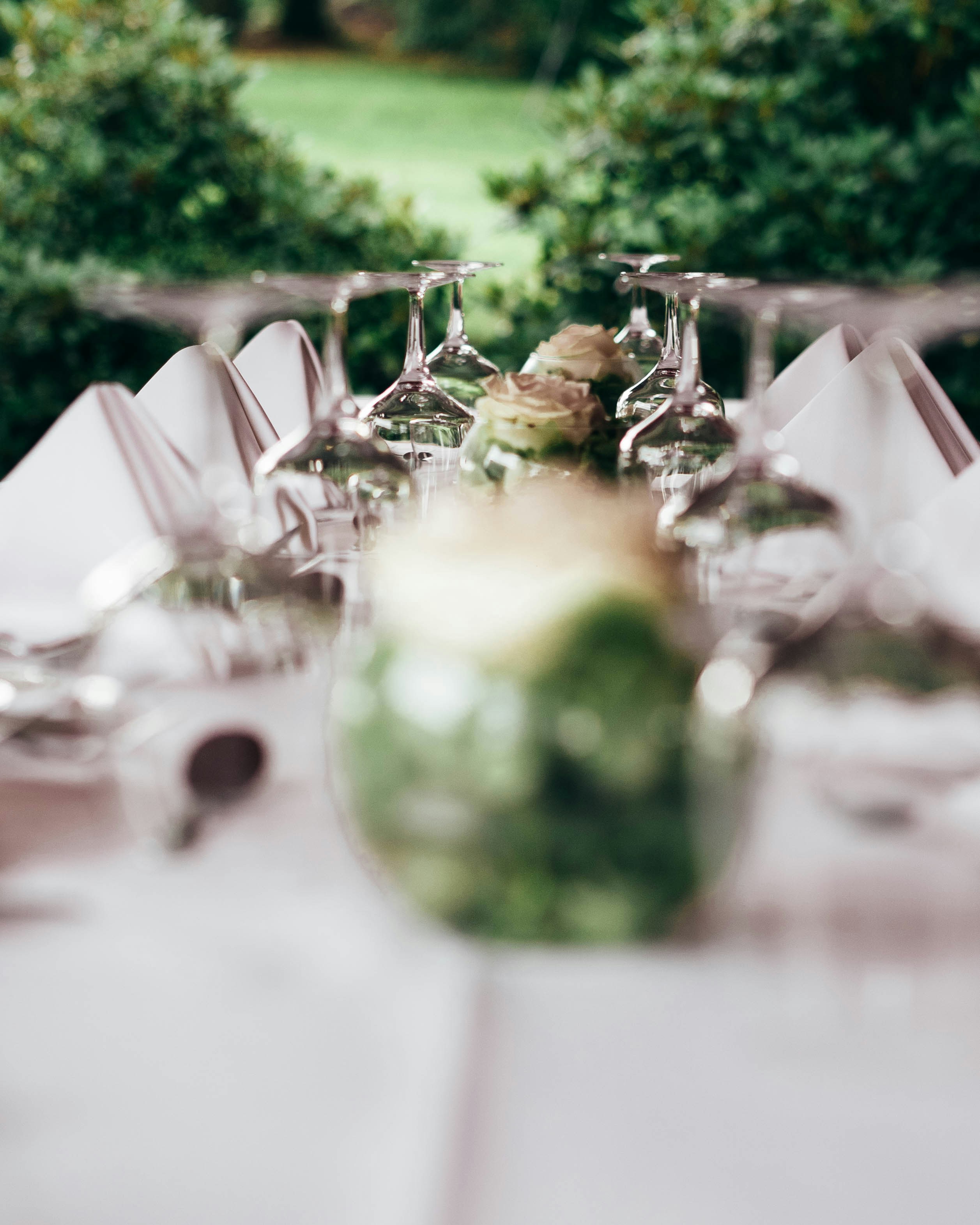 Photo by ksbphotography