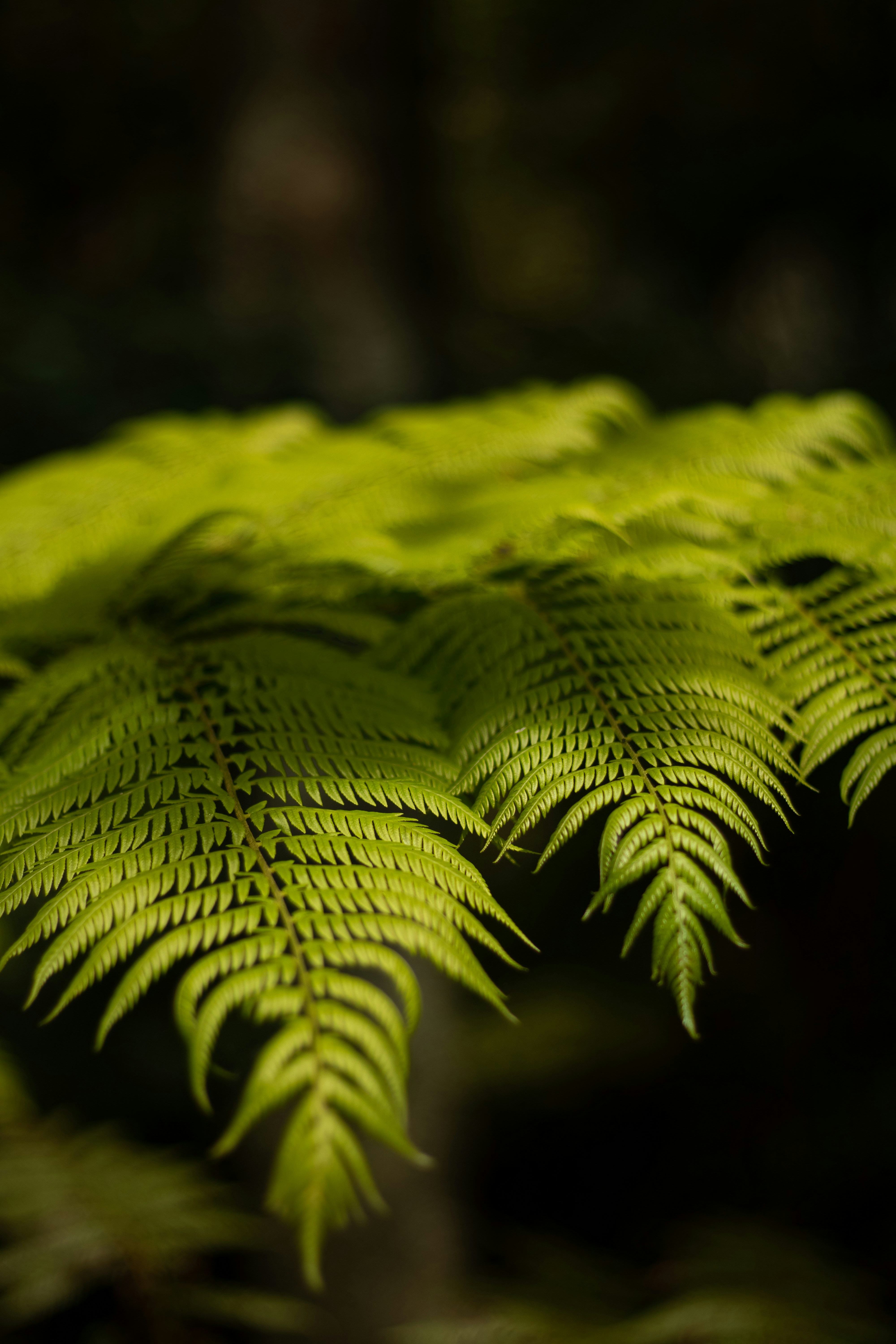 Photo by gabriellefaithhenderson