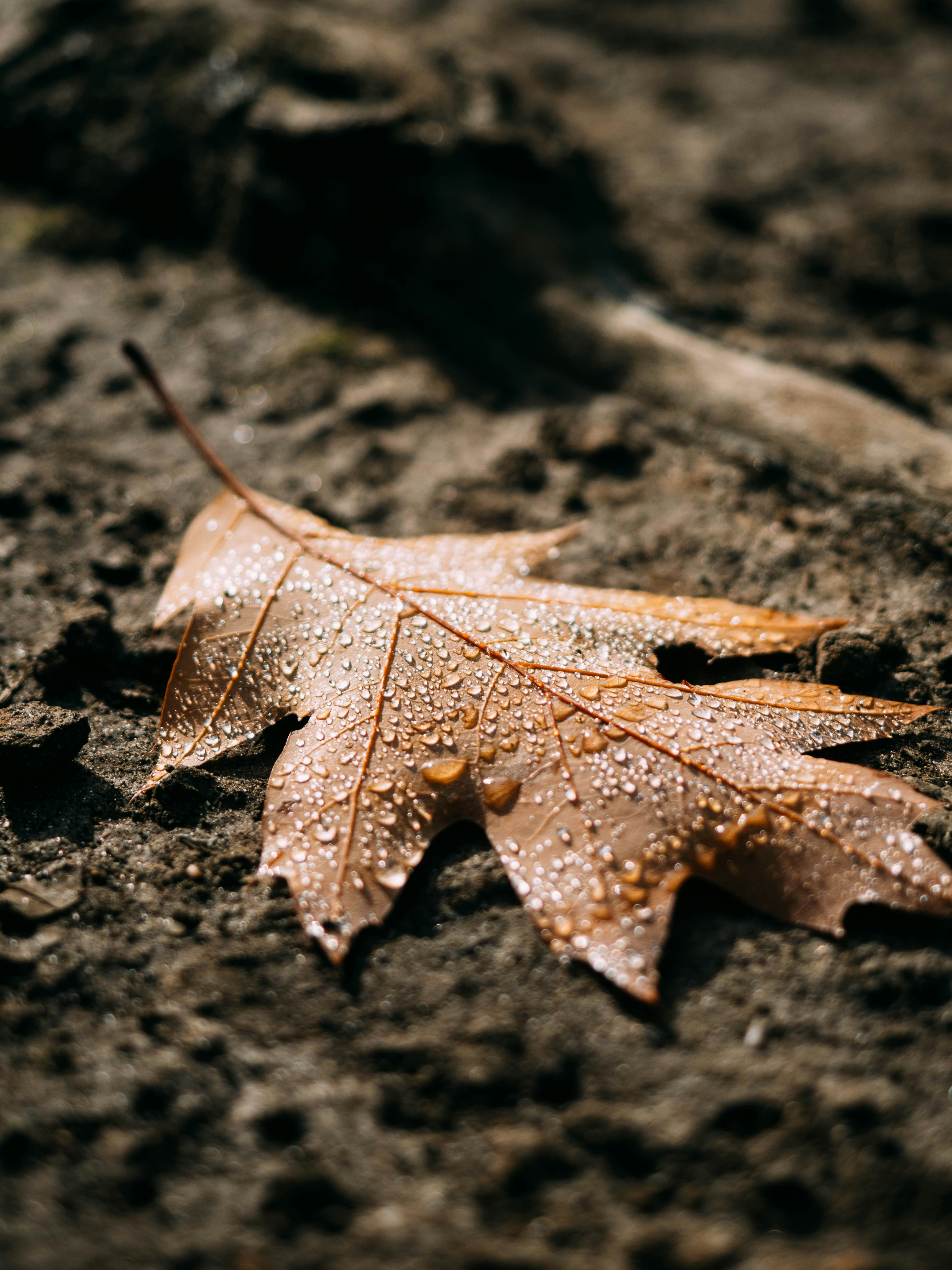 Photo by brechtdenil