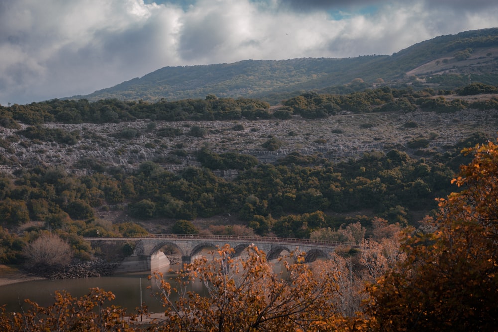 árvores verdes na montanha sob o céu nublado durante o dia