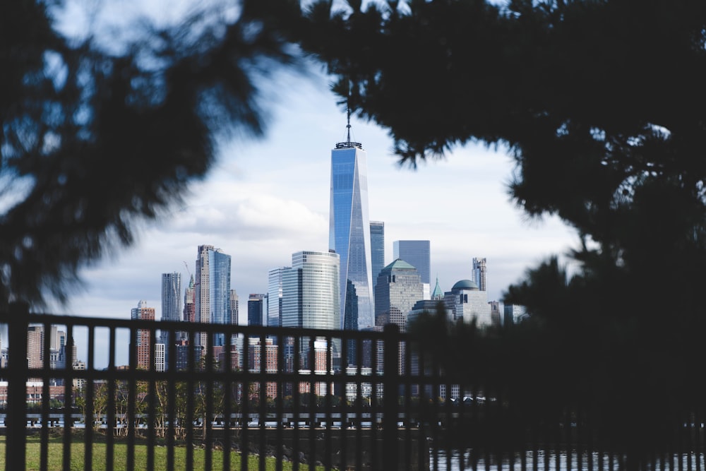 city skyline under gray sky